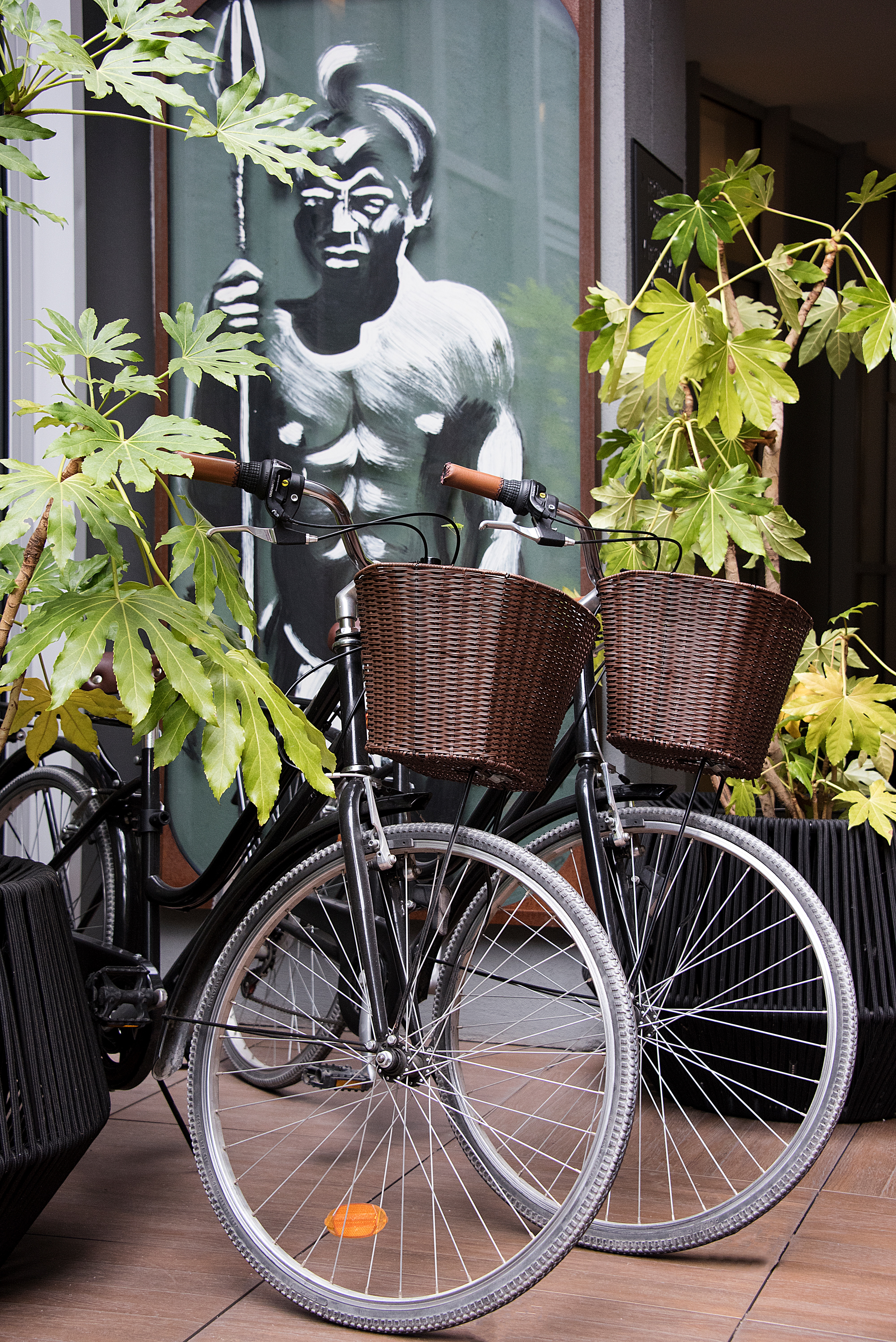 Vélos
