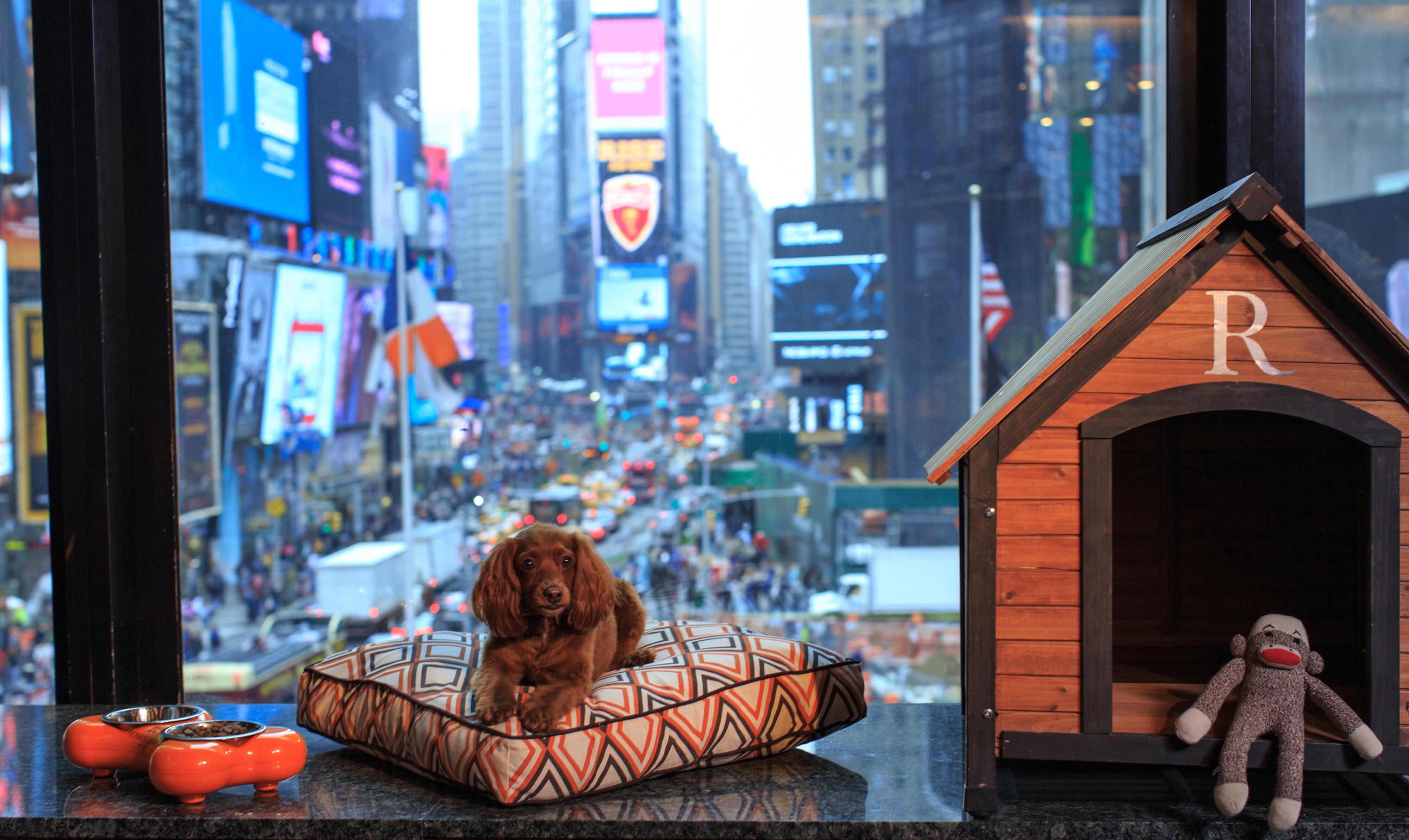 Renisance Logo with Christmas Greenery