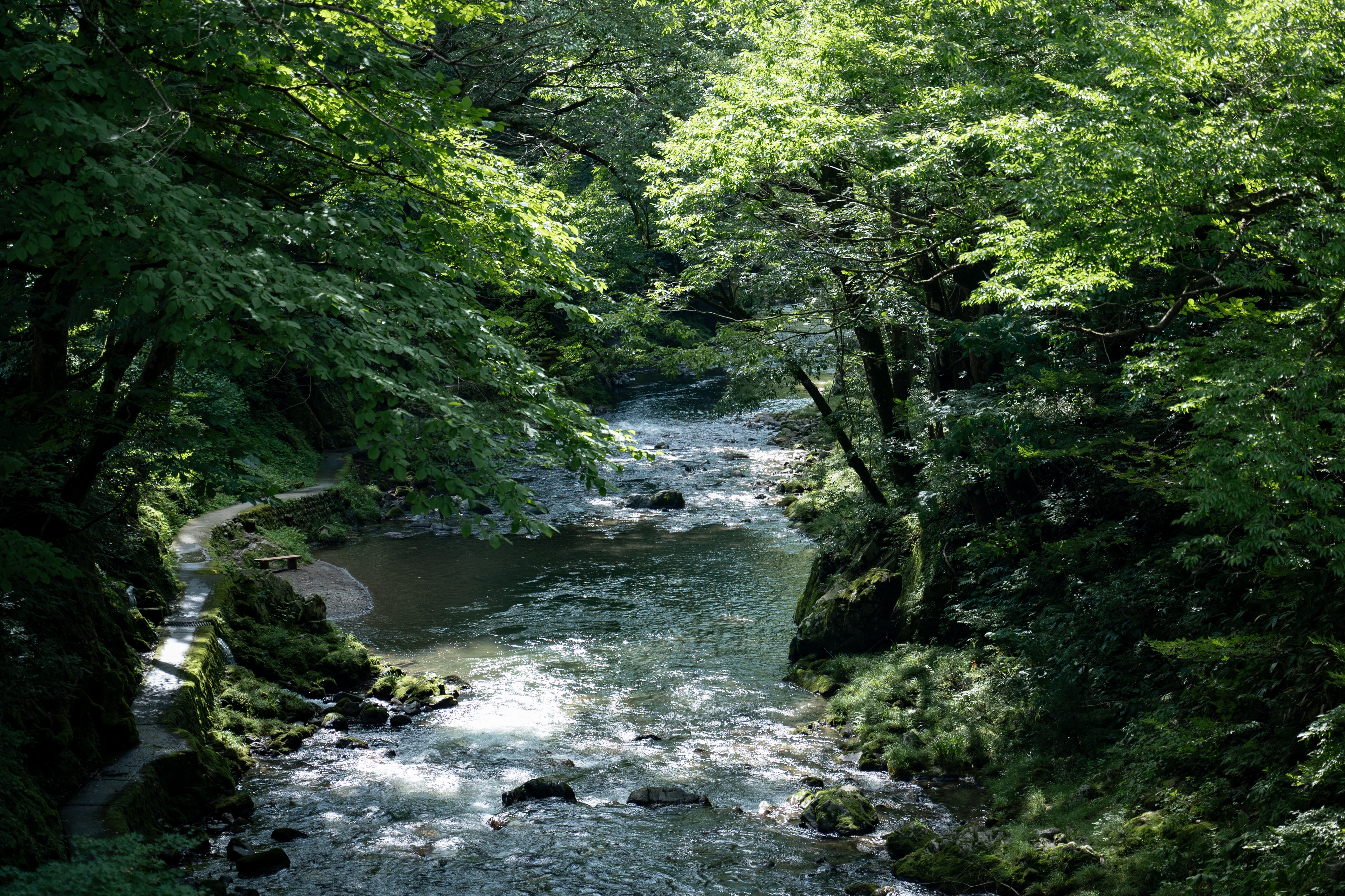 River running through the woods