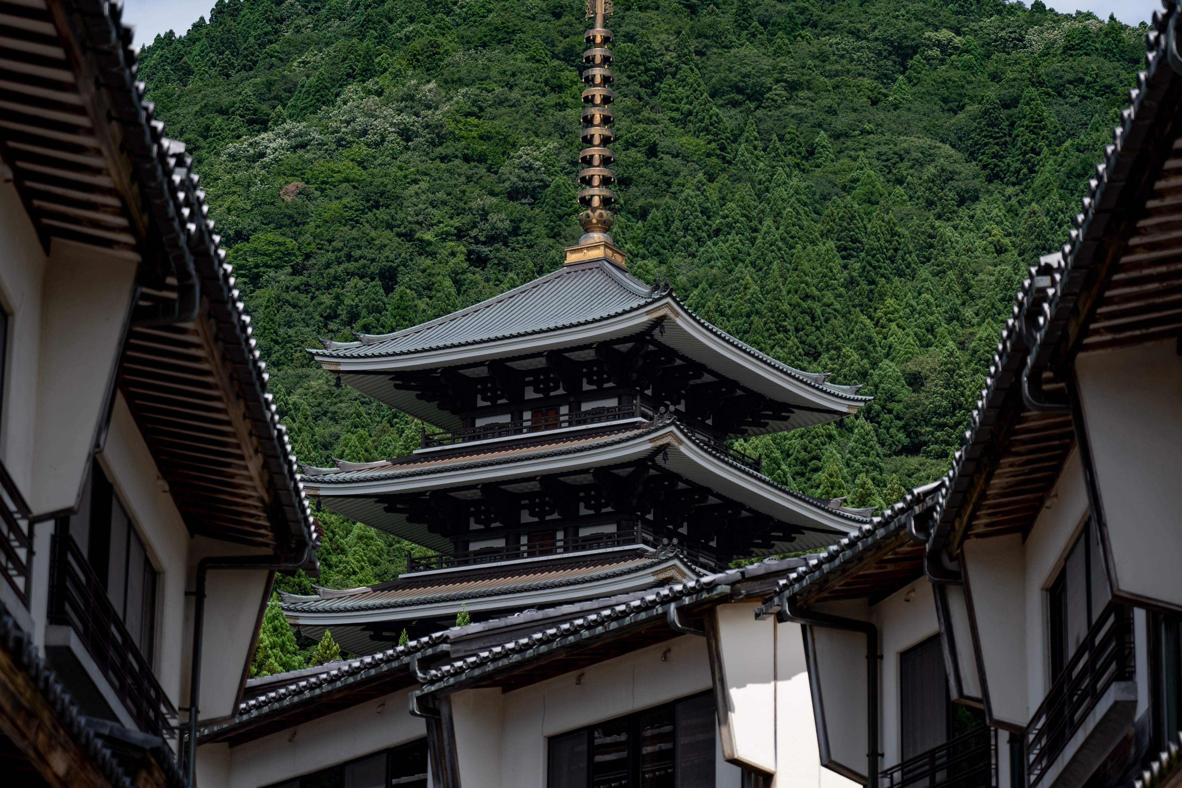 Echizen Great Buddha five-storied pagoda