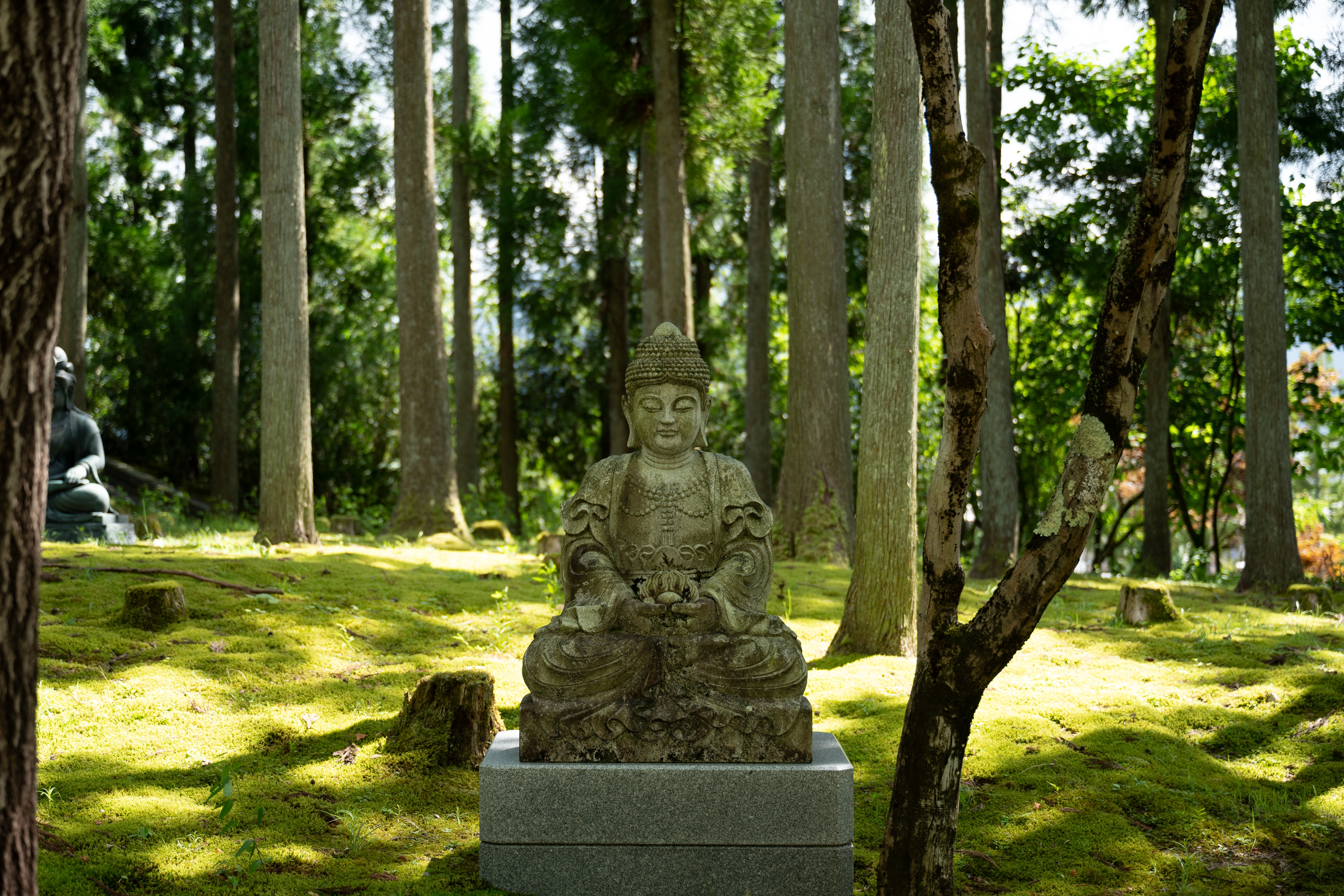 Buddhist Statue in Hesenji