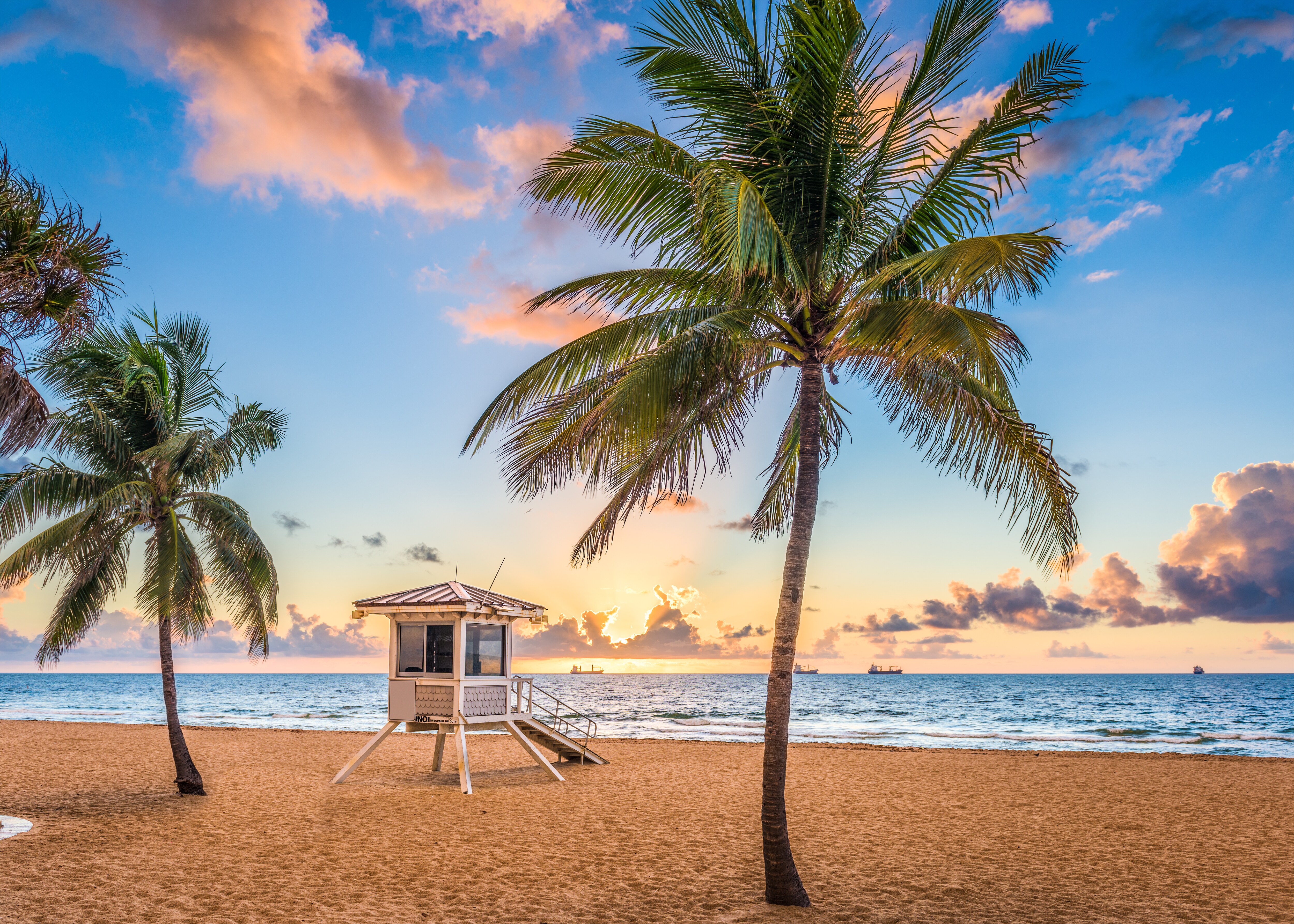 Palm Chair on Beach