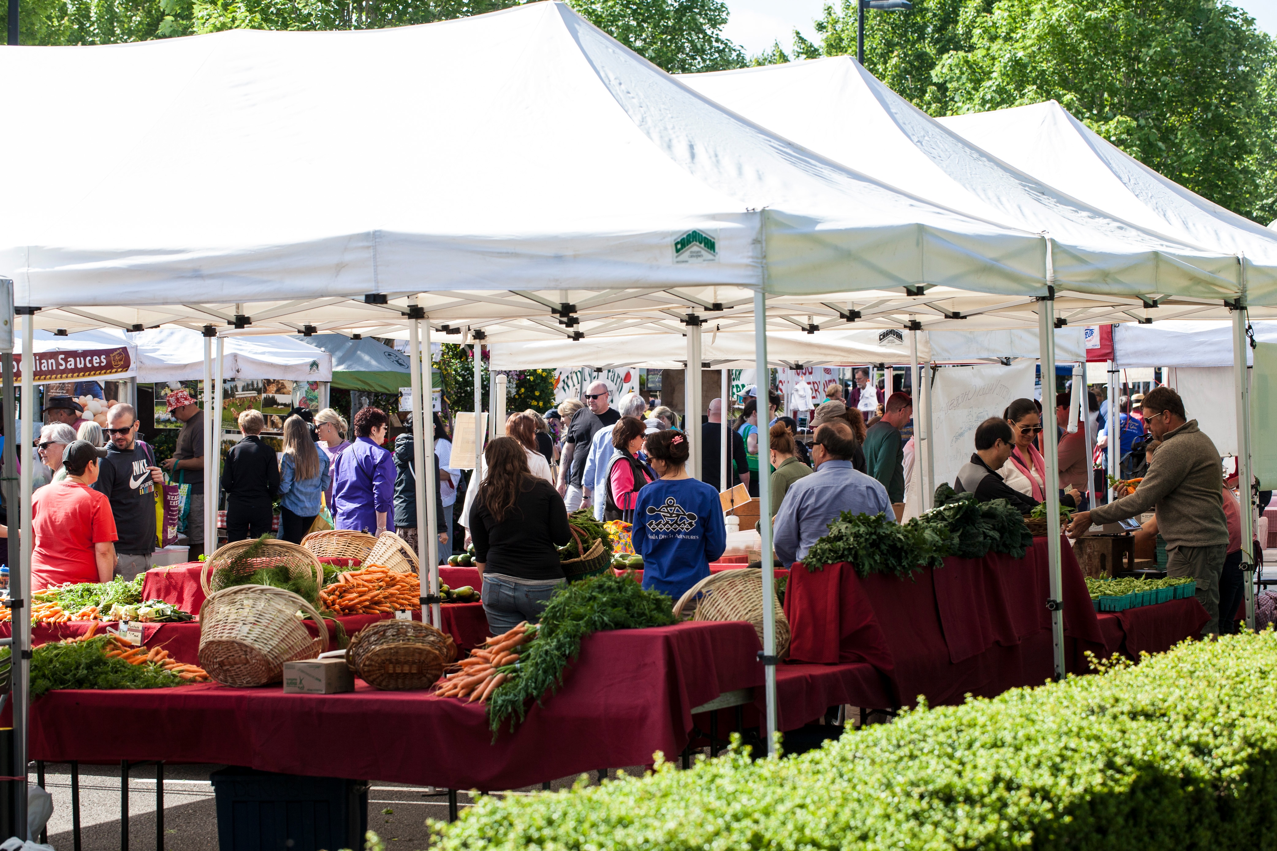 Beaverton Farmers Market