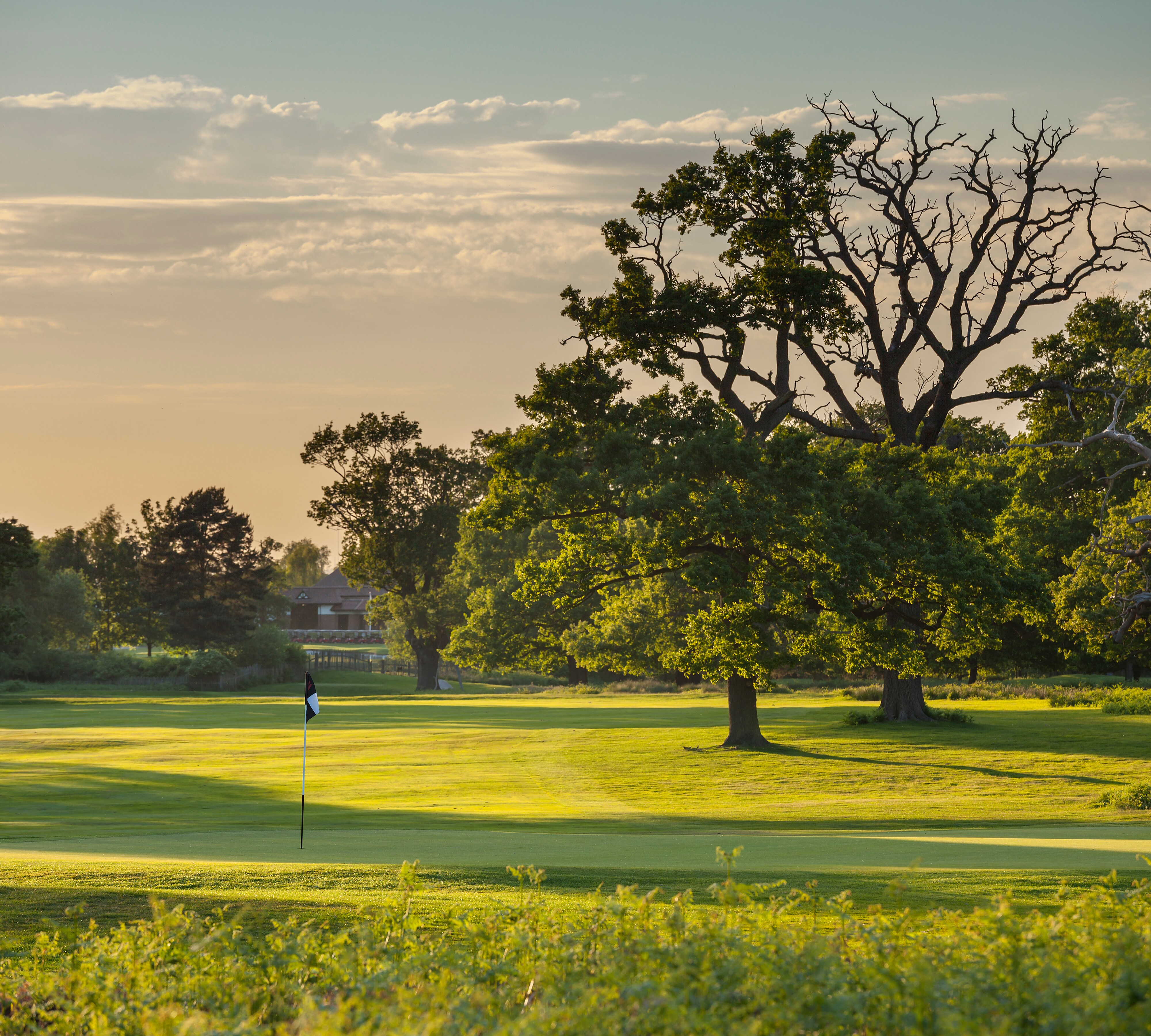 Golf course