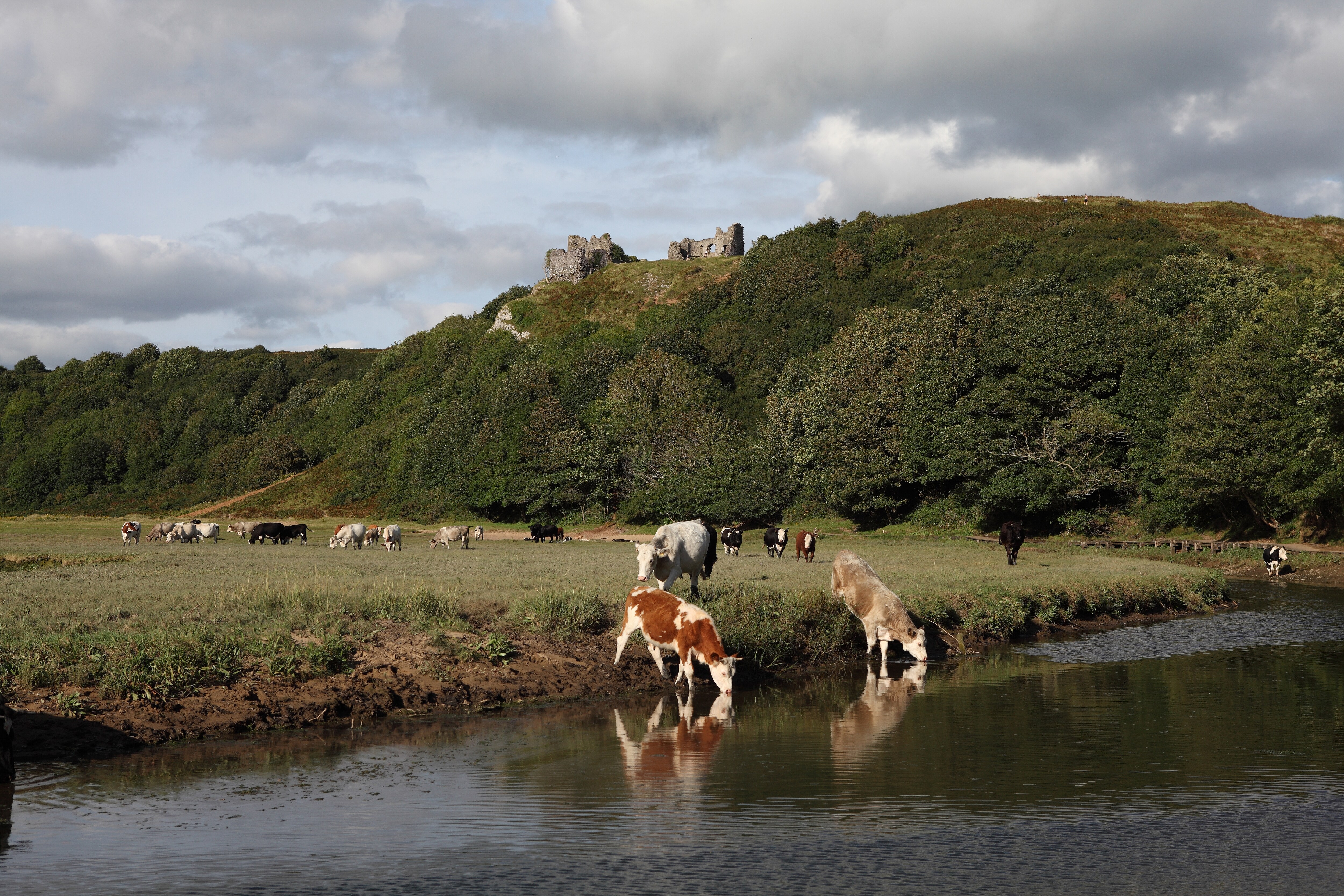 Pennard Castle