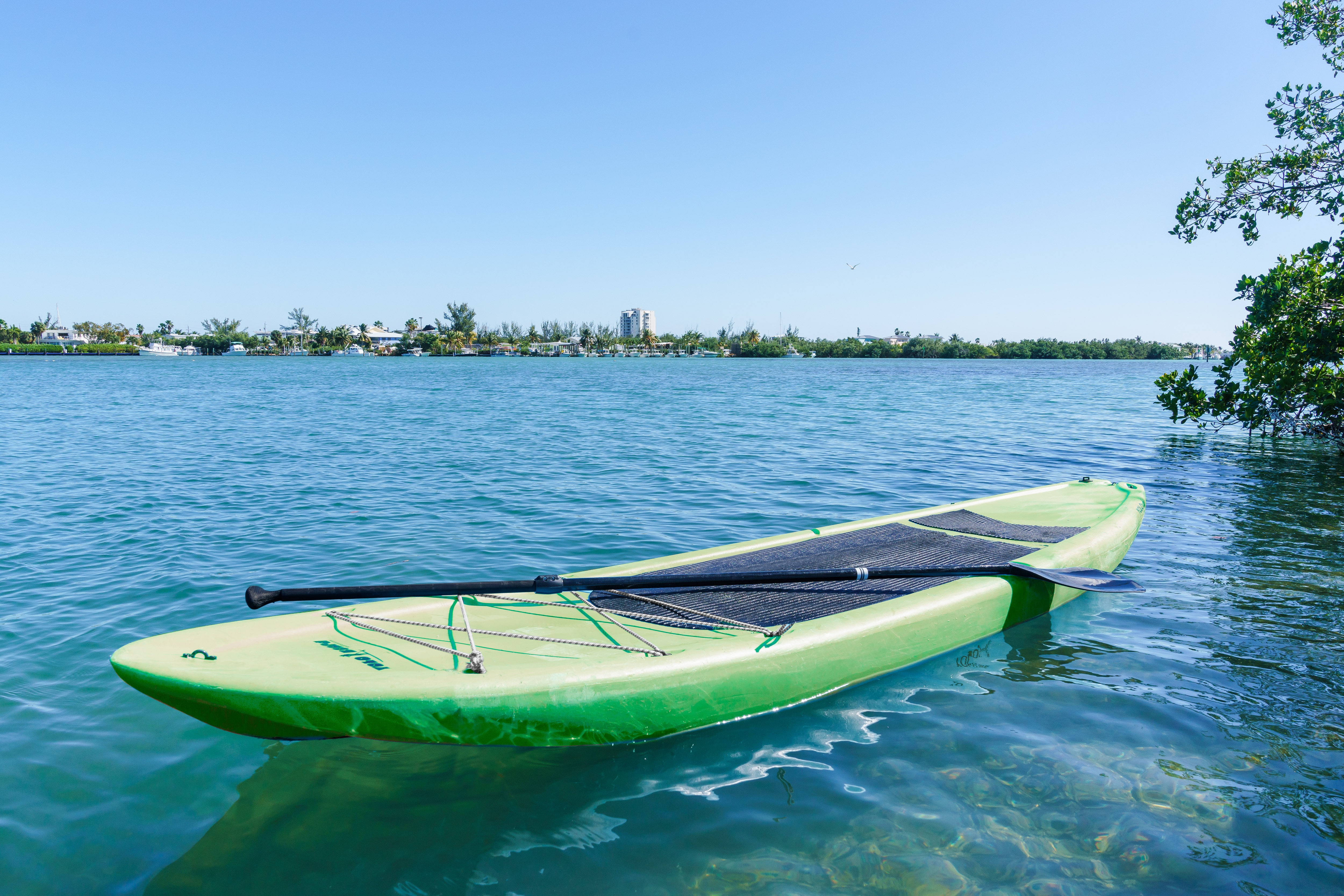 Paddleboard on water