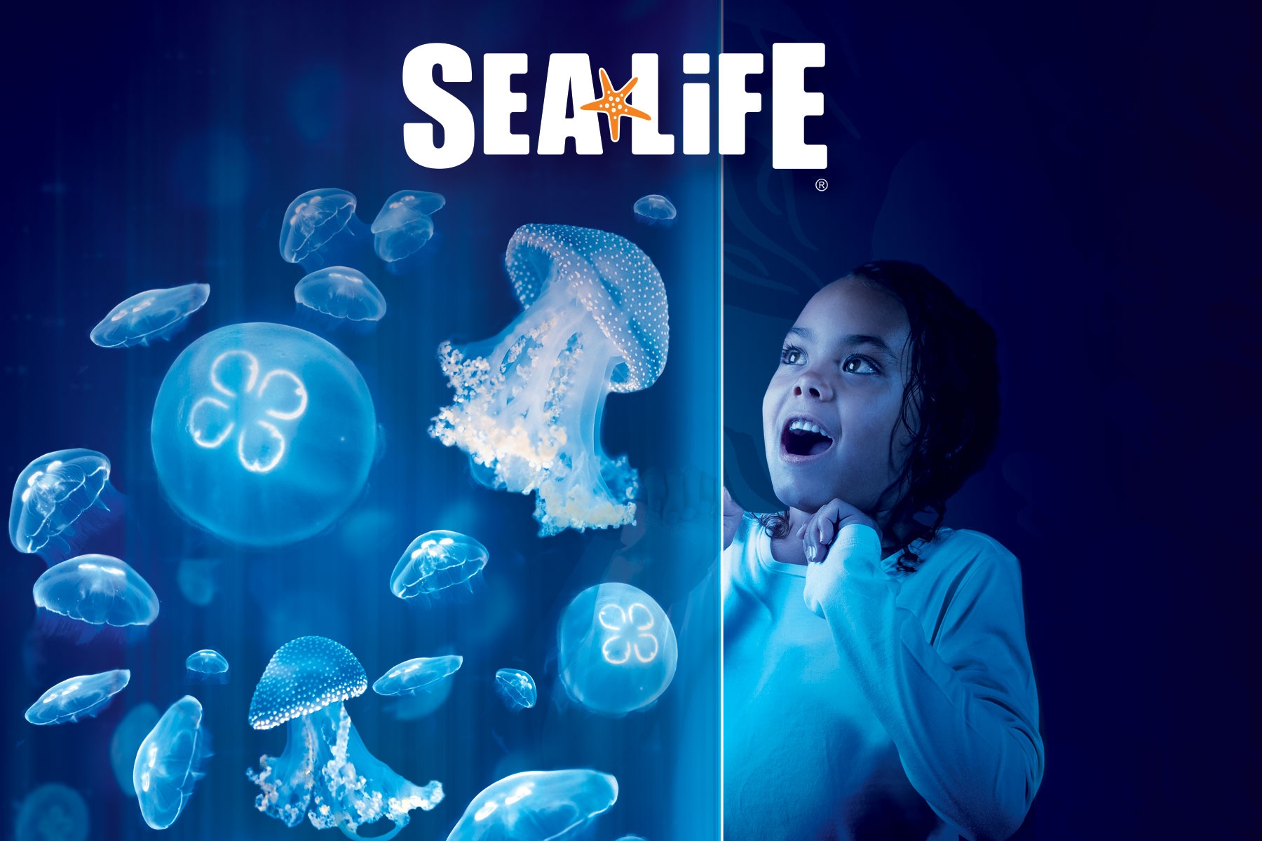 Sea Life Aquarium