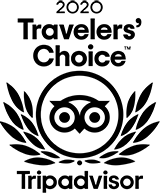 2020 Trip Advisor Travelers Choice