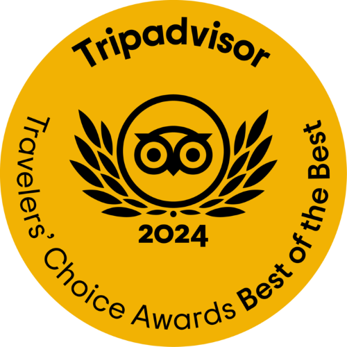 2024_Tripadvisor_BOB_rnd