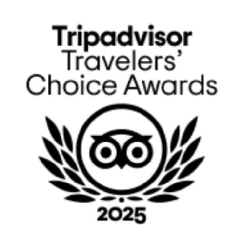 tripadvisor logo black text on white