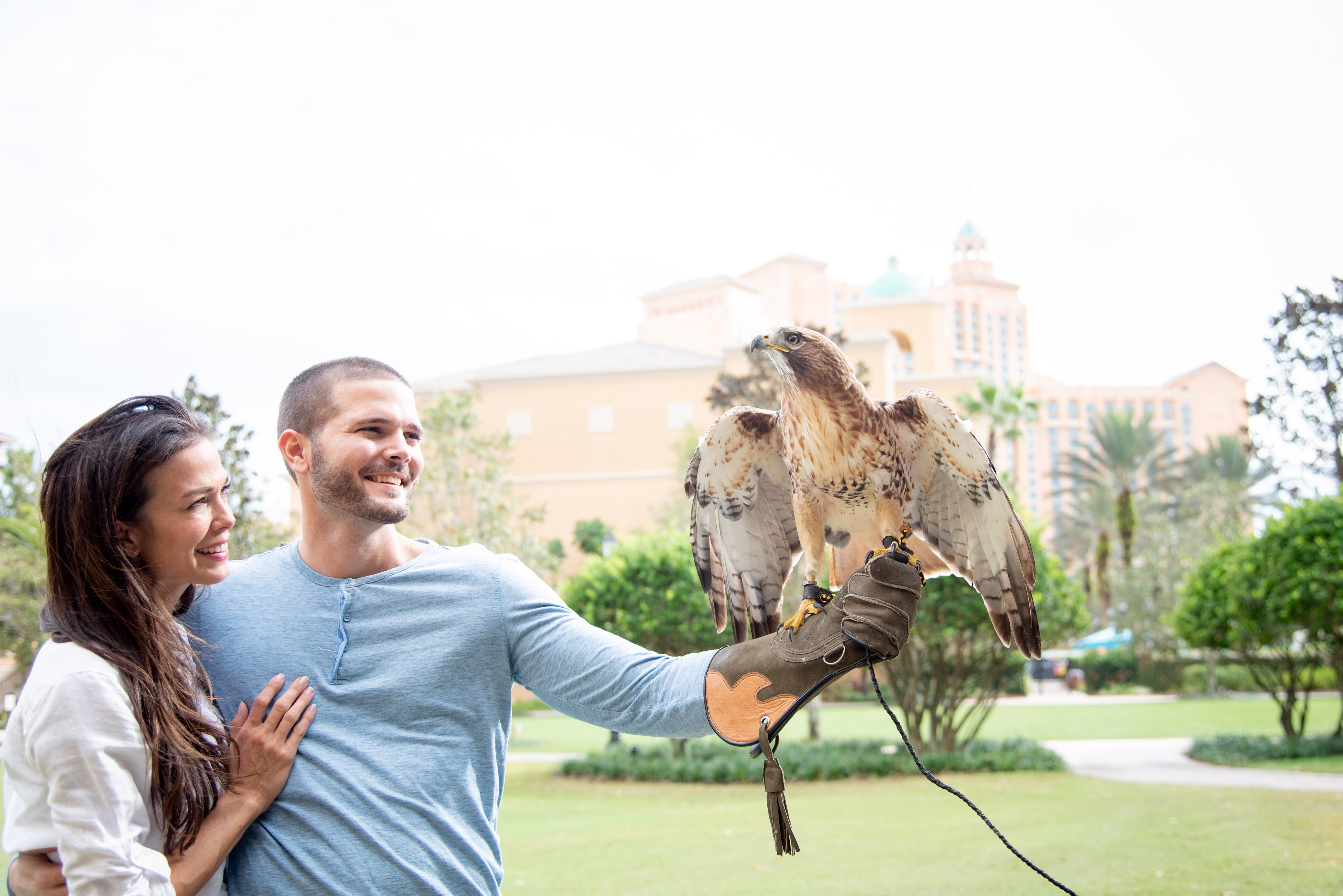 Falconry Experience