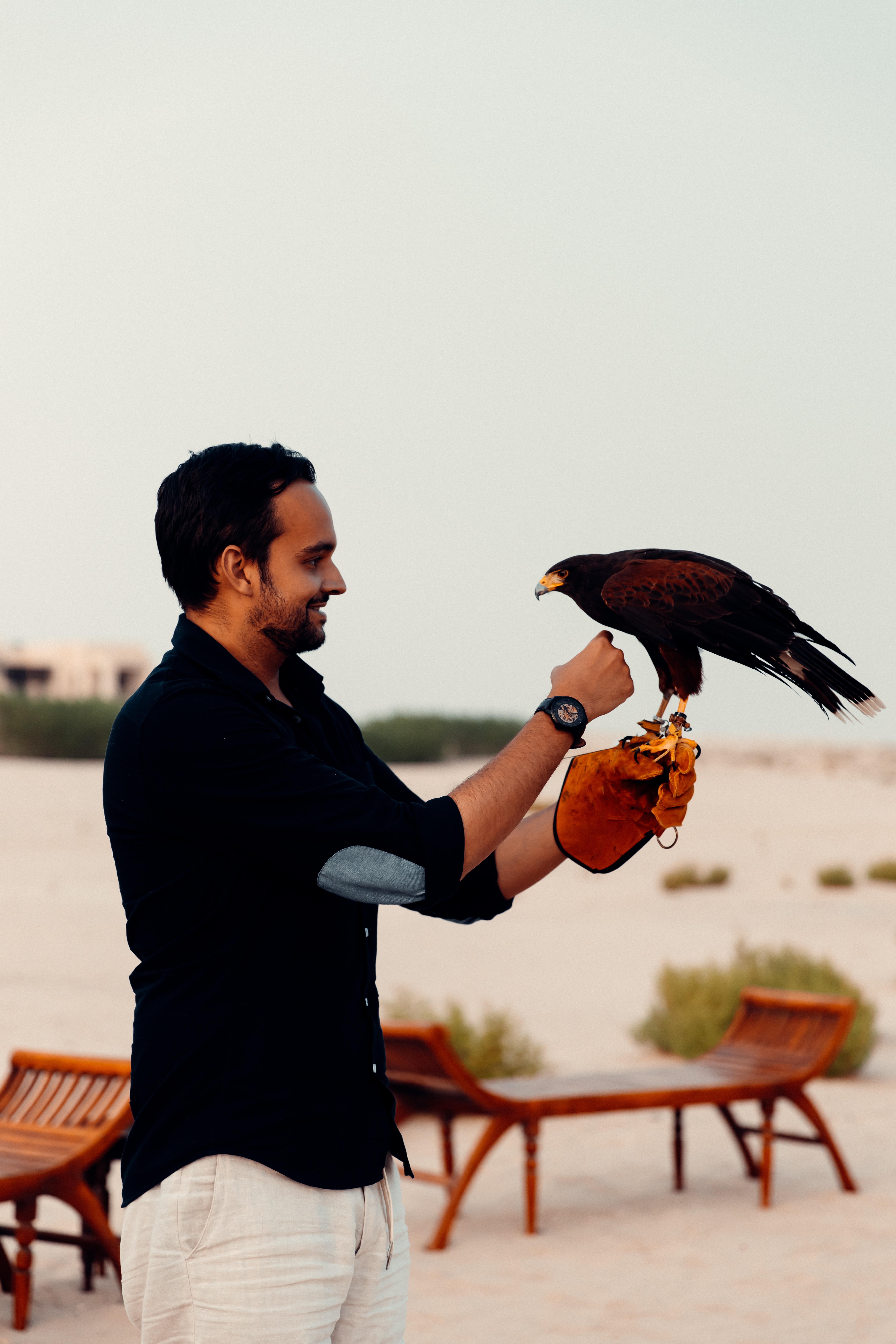 Falcon