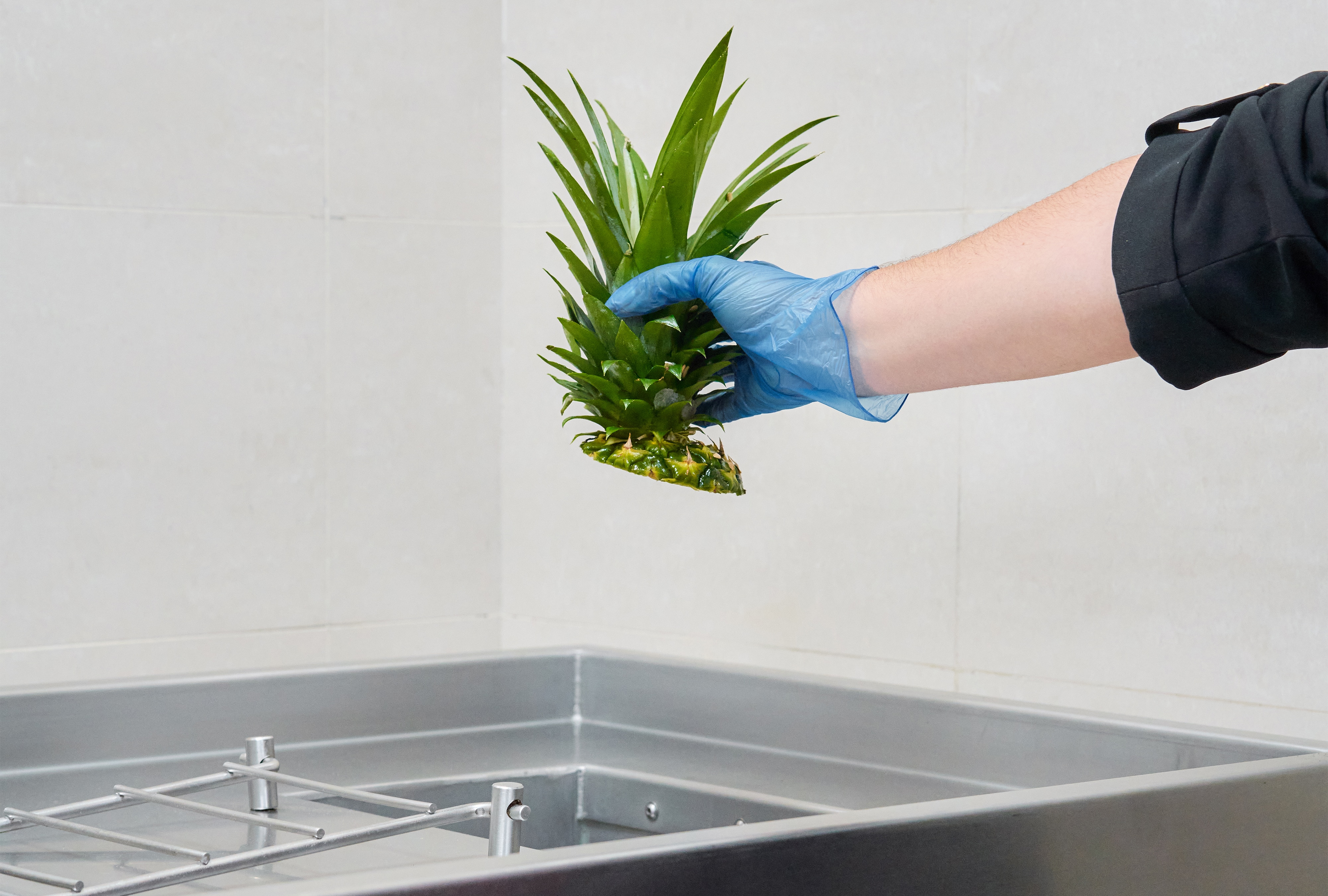 Lebensmittelzersetzer