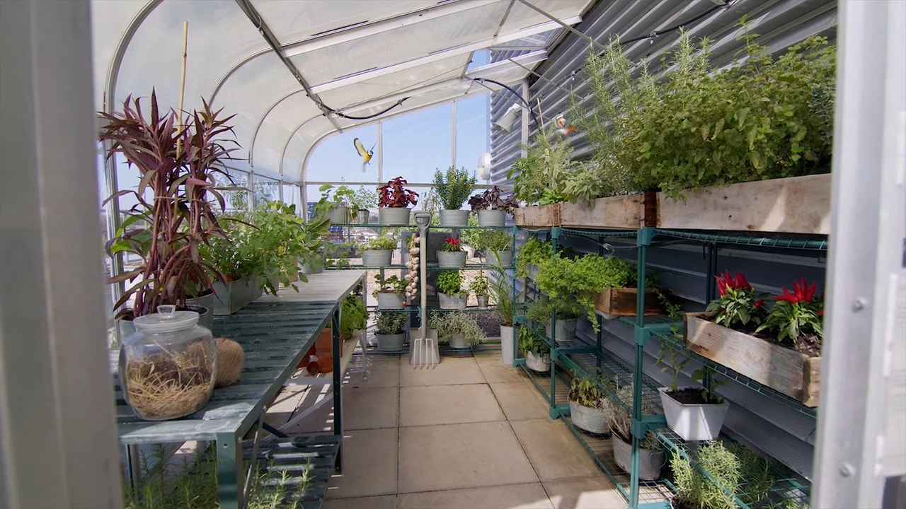 LHRHR-Poster-Image png