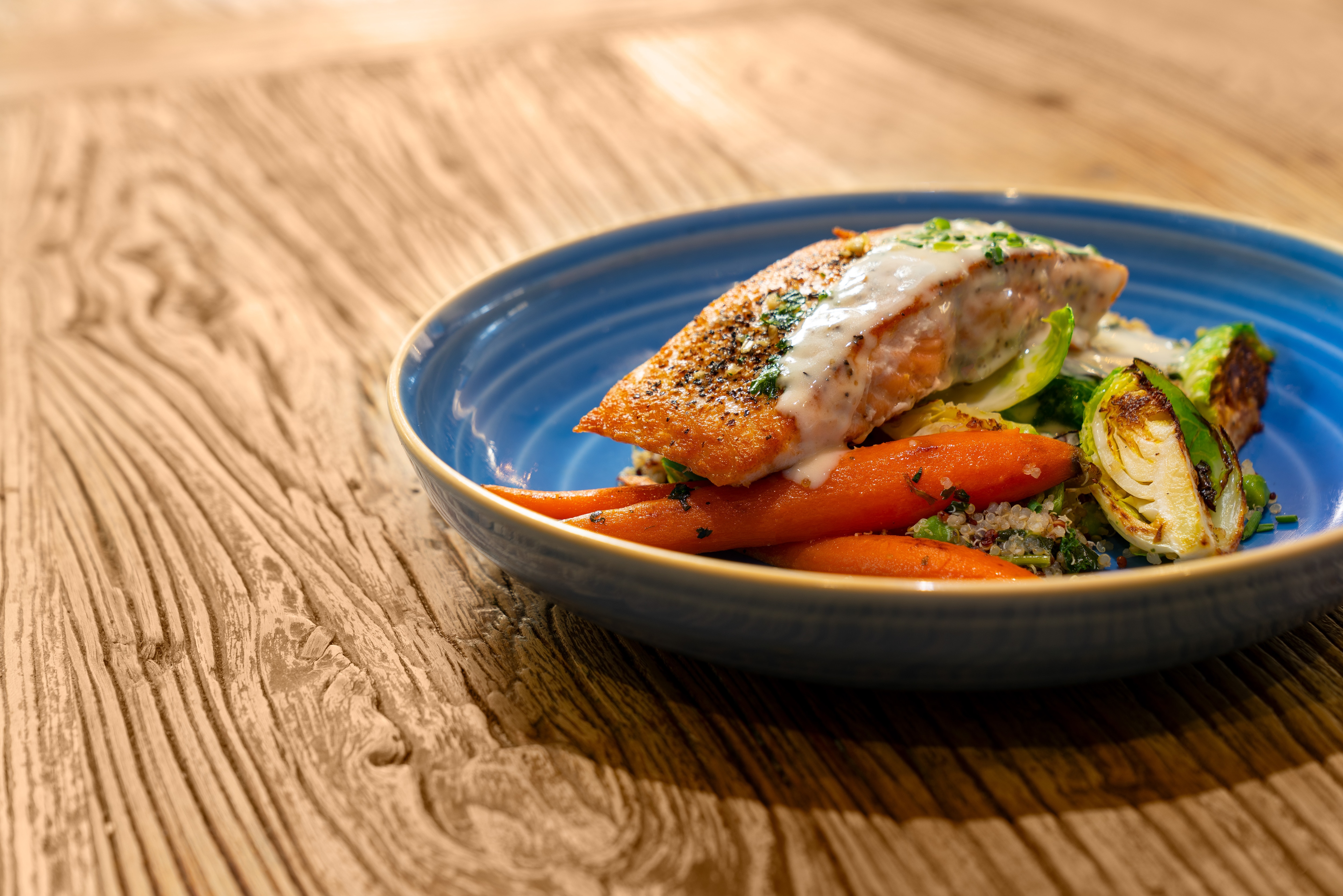 Salmon