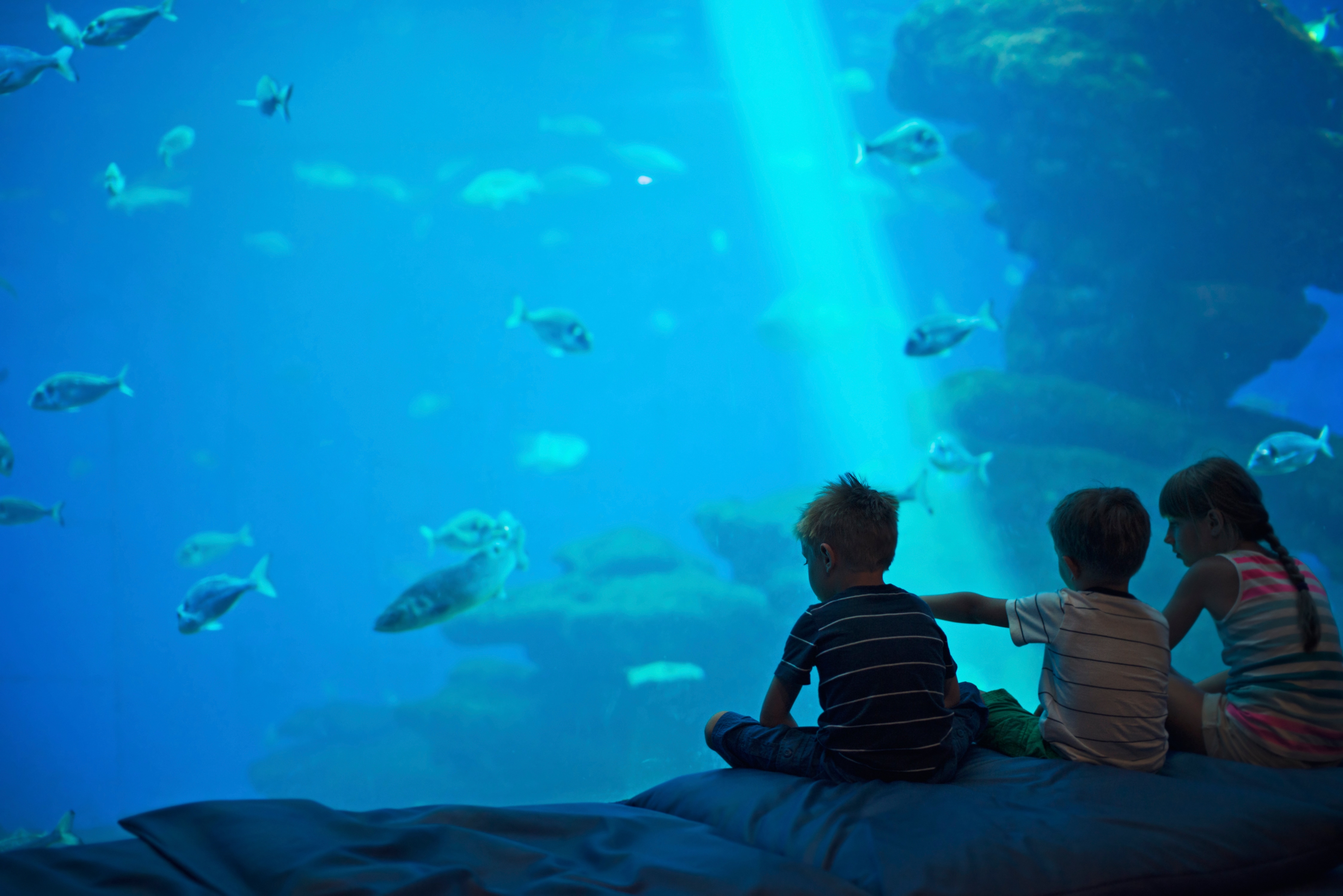 Seattle Aquarium