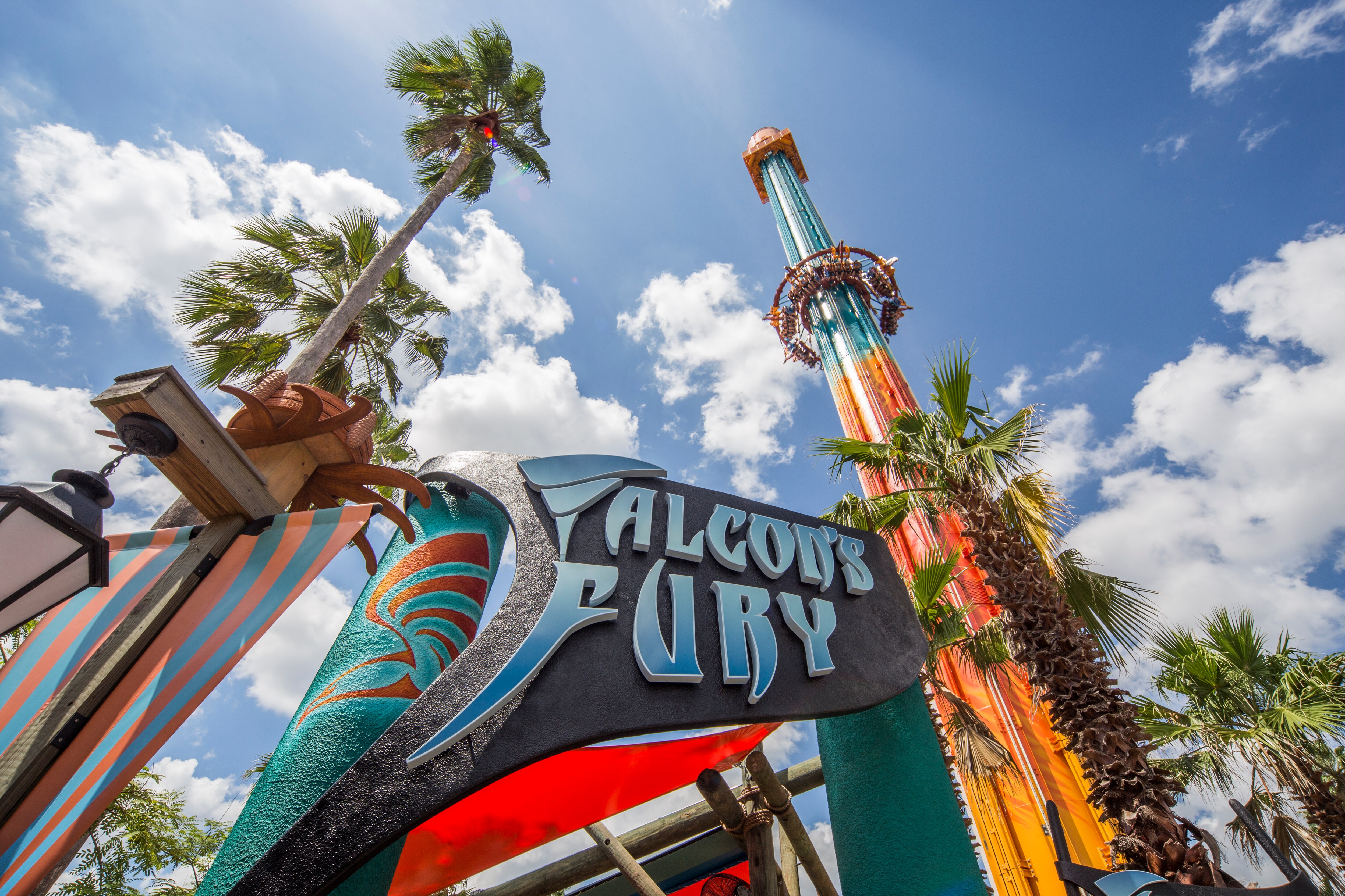Falcons fury sign and palm trees