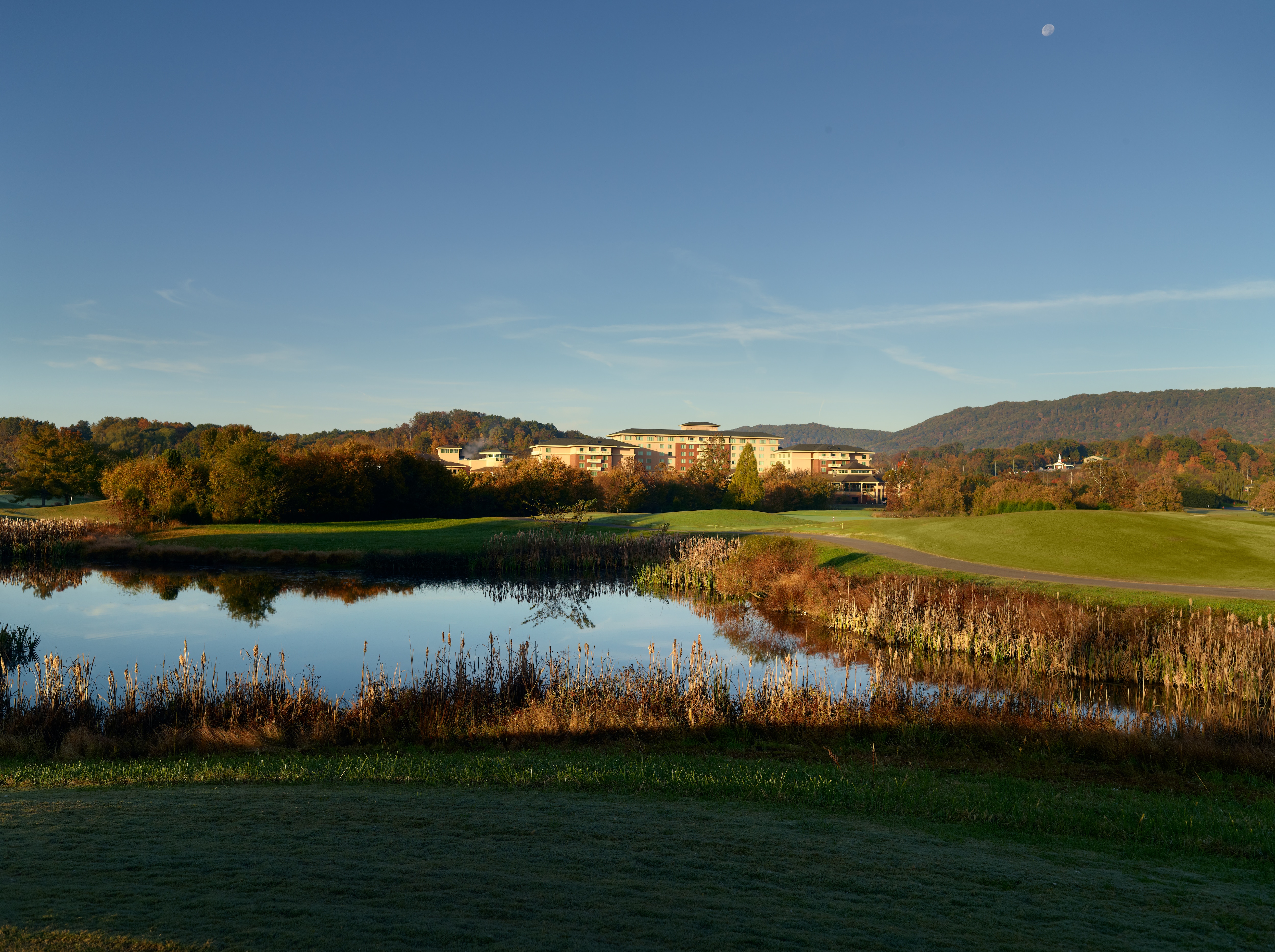 Cattail golf course