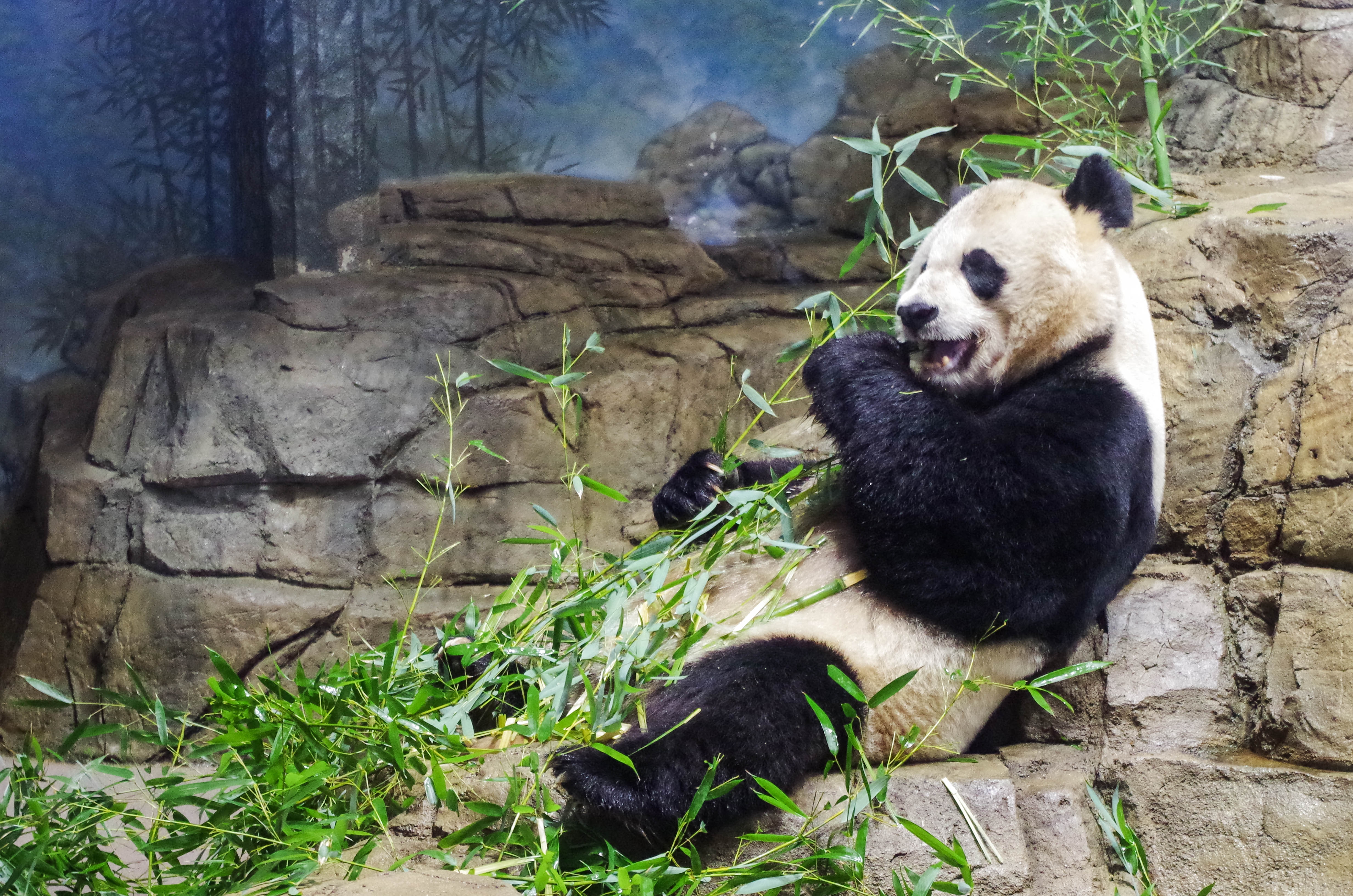 Zoo