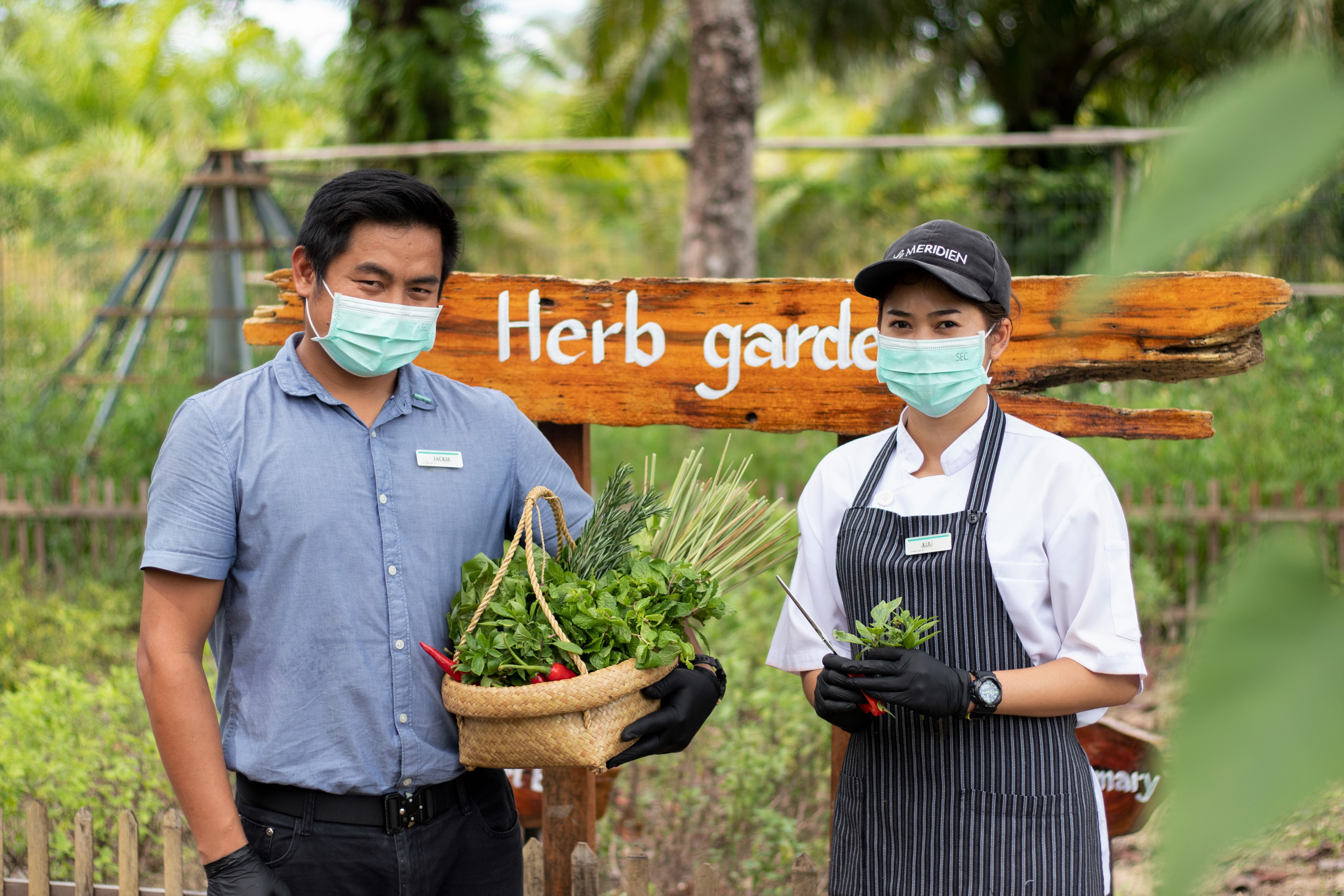 People in an herb garden.