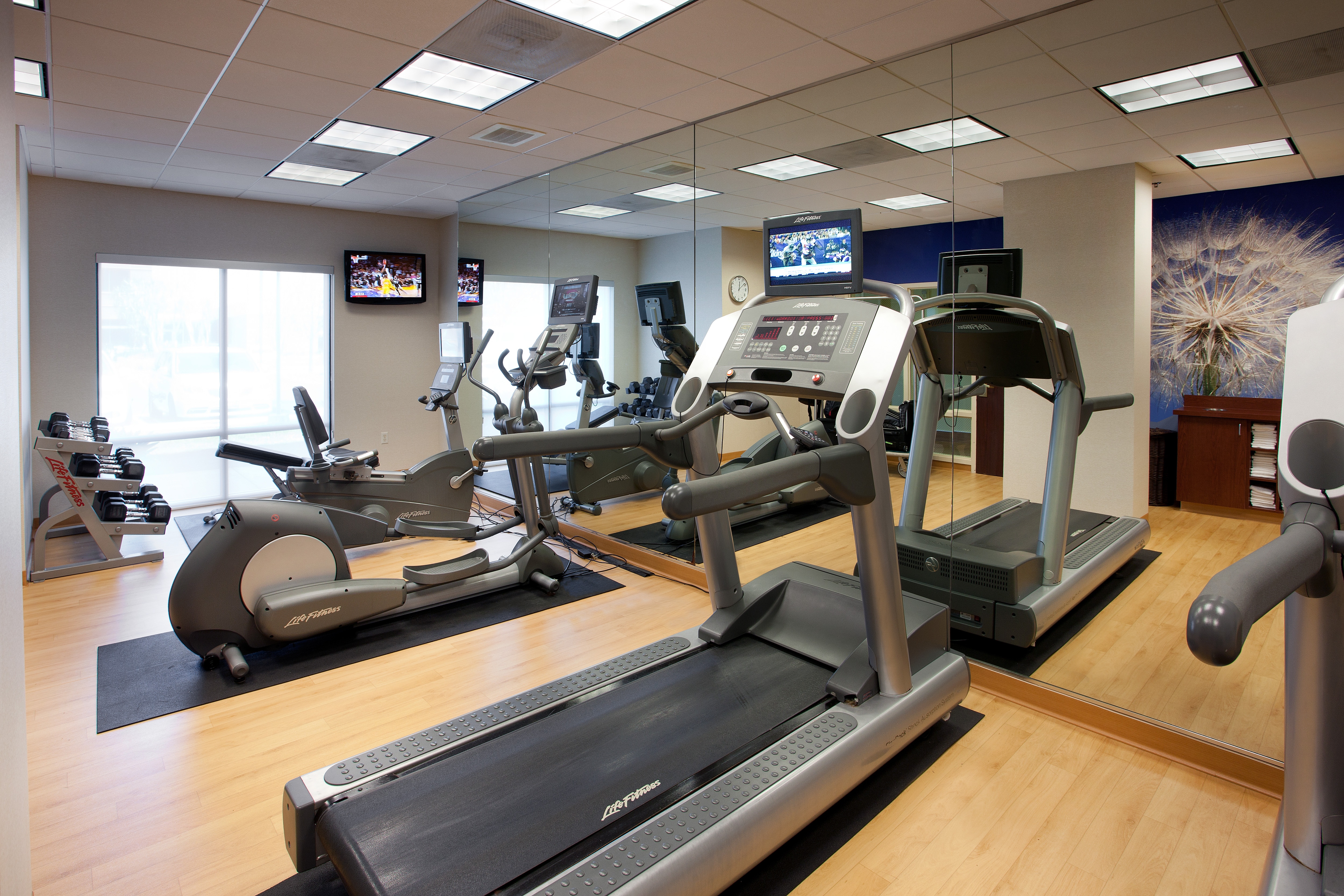Gimnasio