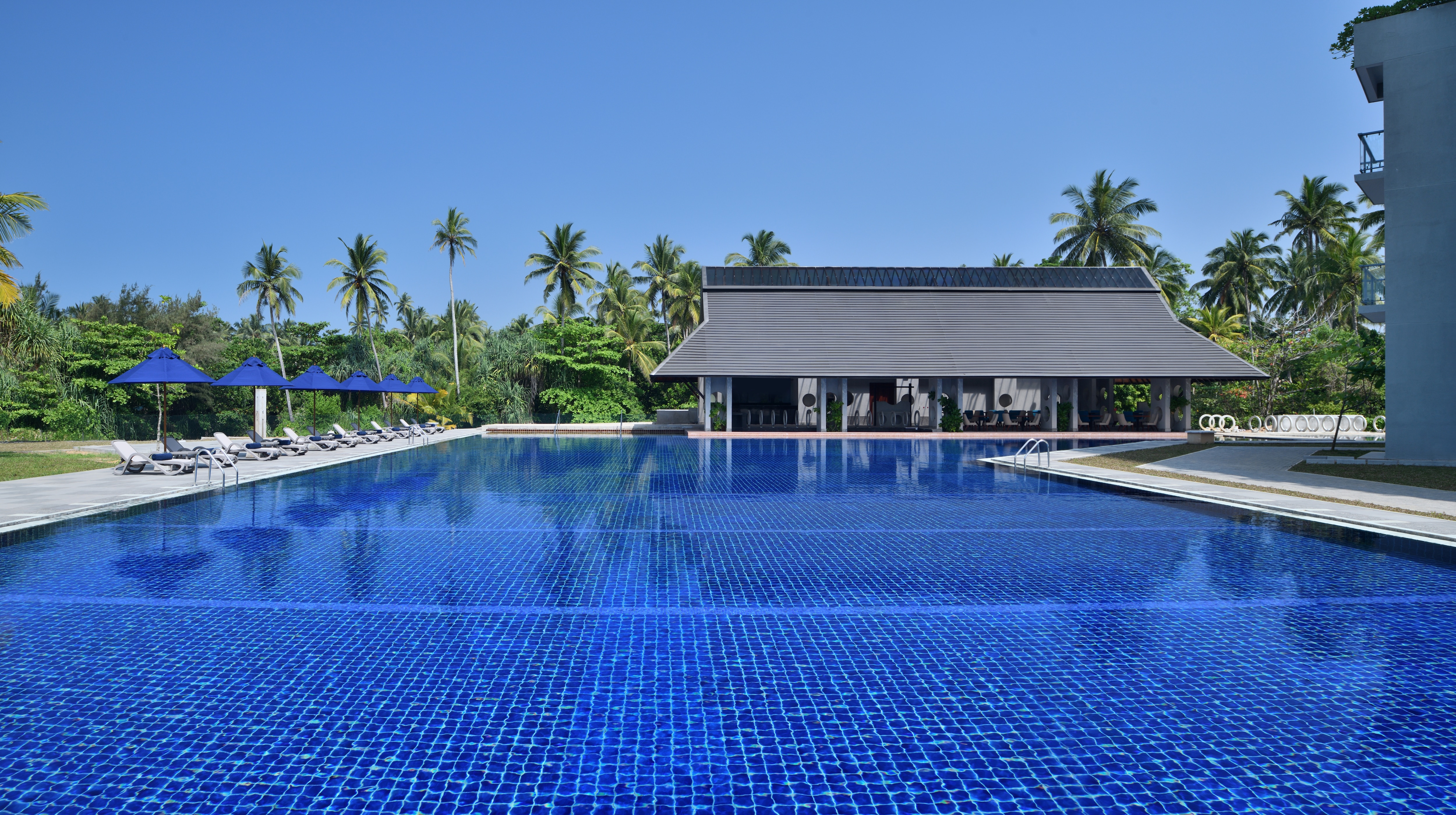 beach resort near Colombo, Sri Lanka Swimming Pool