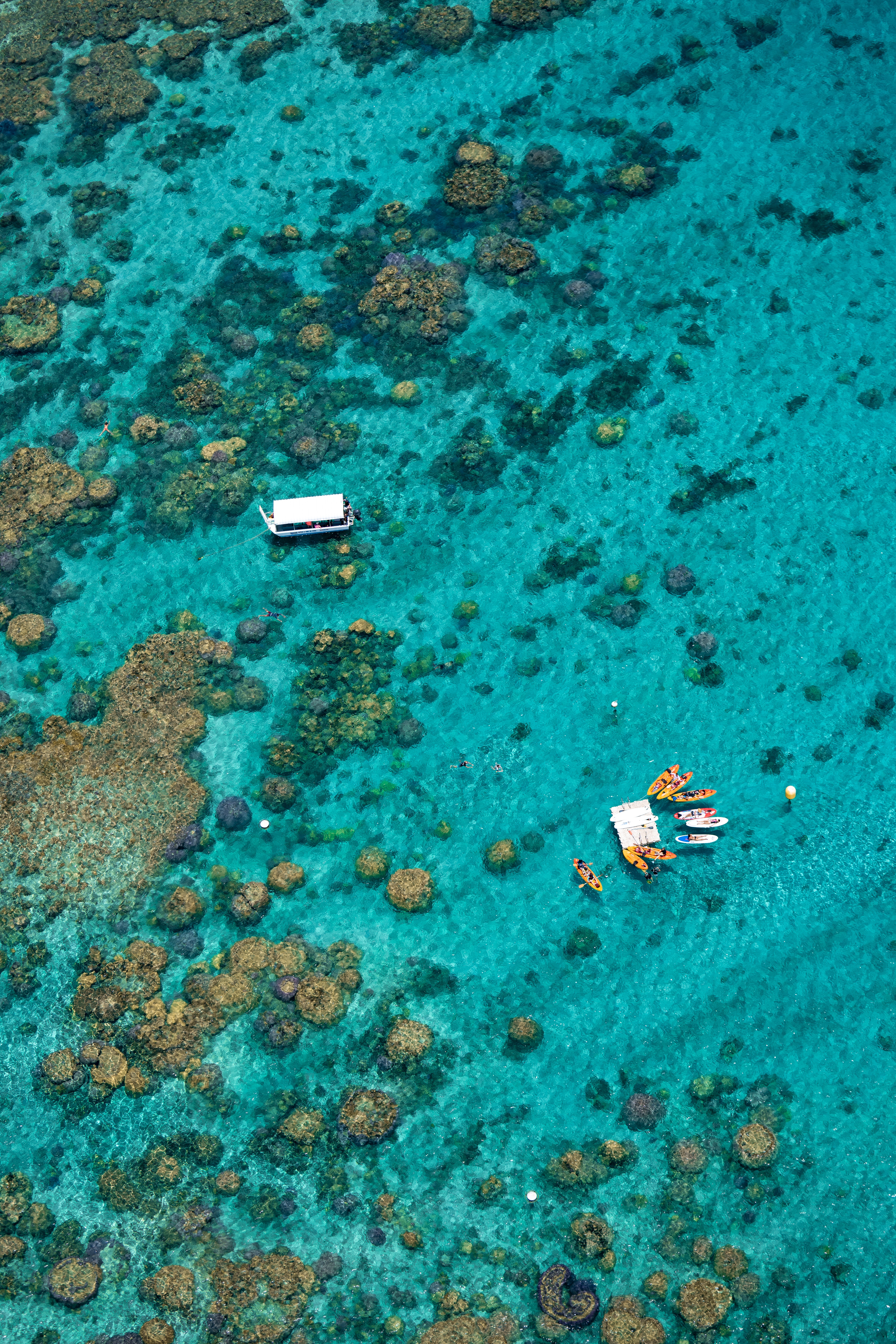 Bateau à fond de verre et activités nautiques