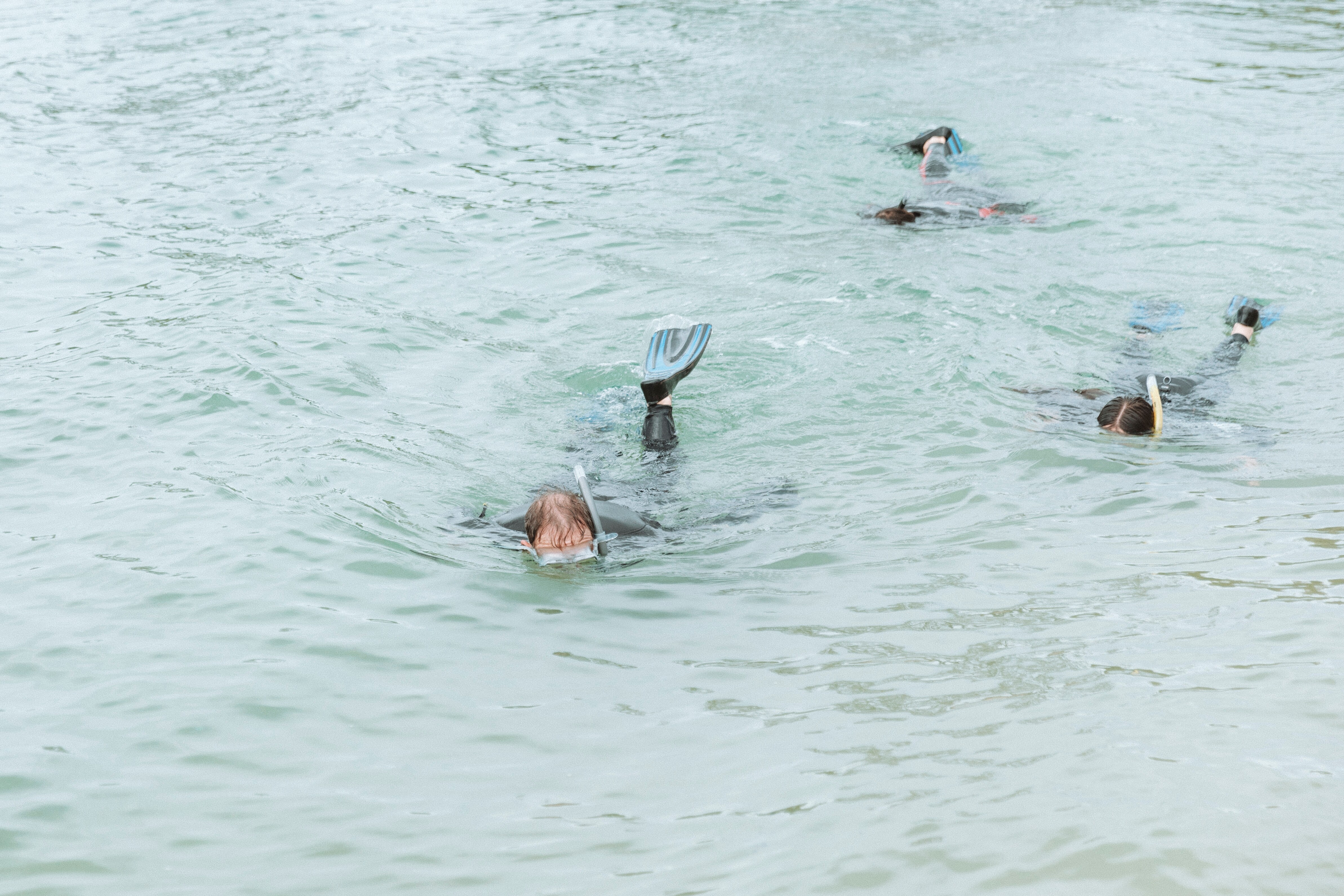 Couple snorkeling alongside marine expert