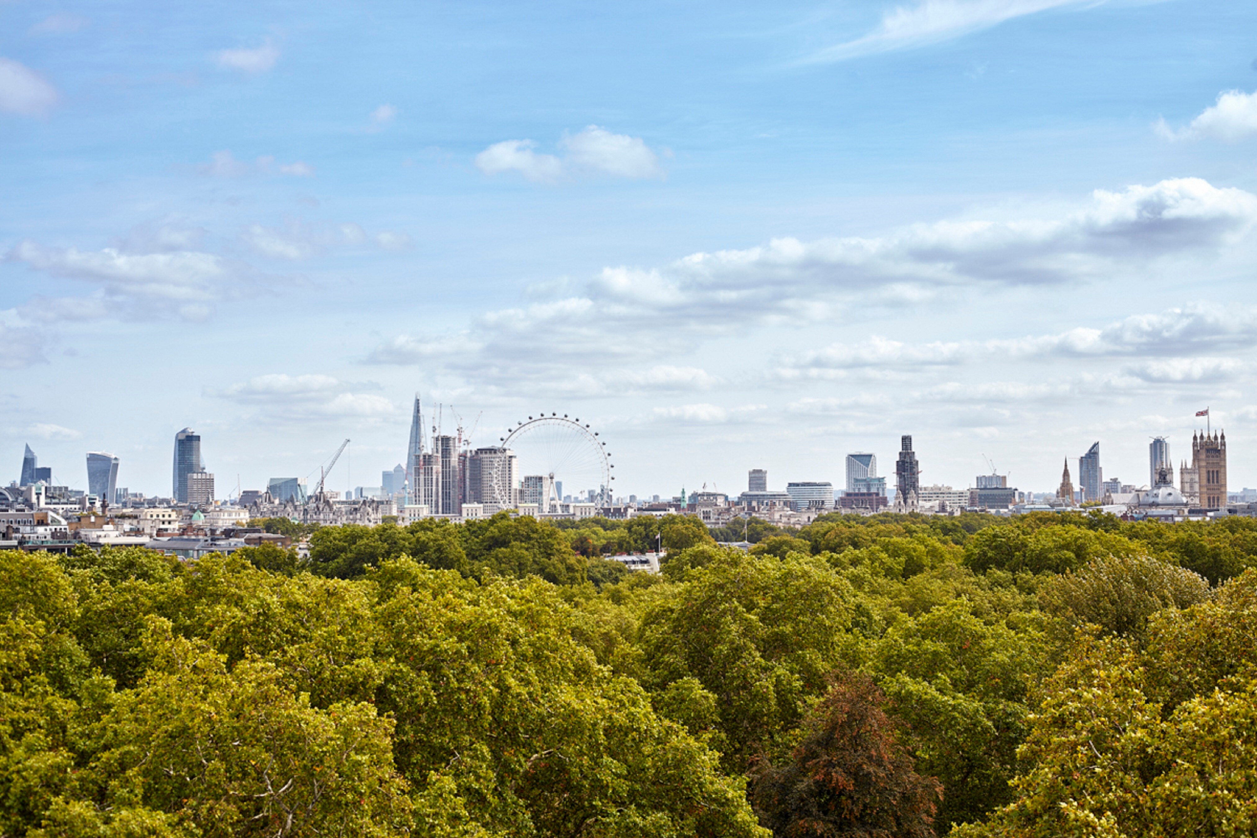 Vista desde el hotel