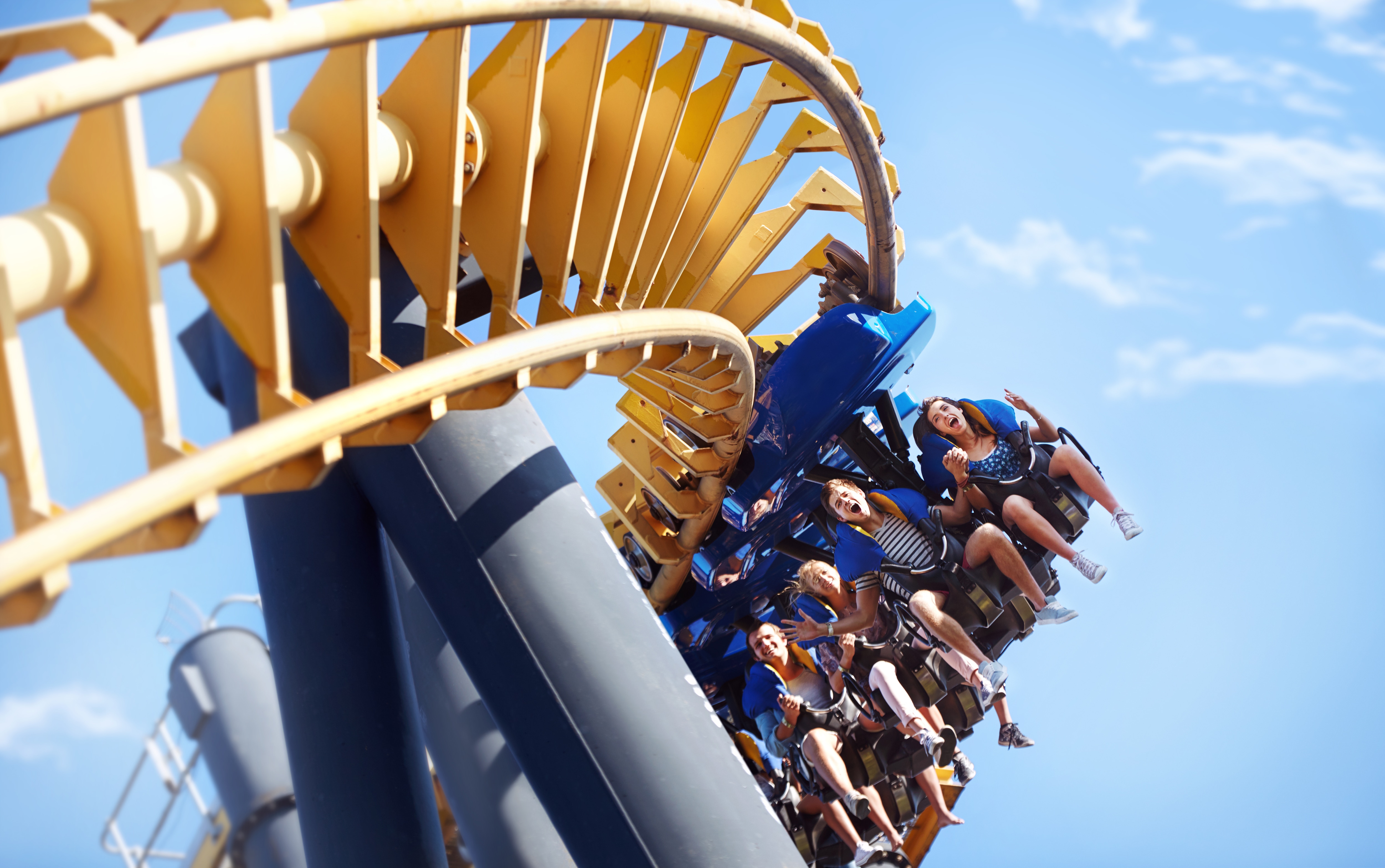 Roller coaster