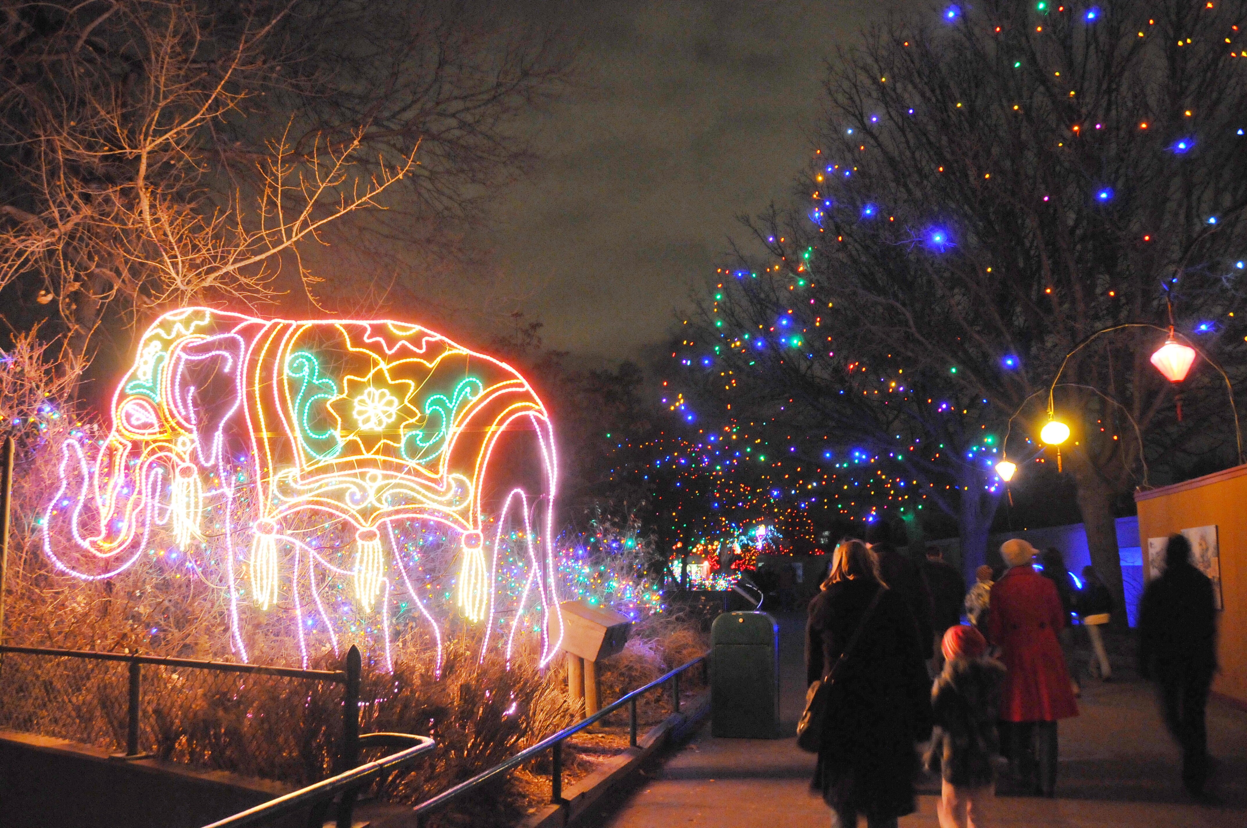 People walking through a colorful Christmas lights display at the zoo