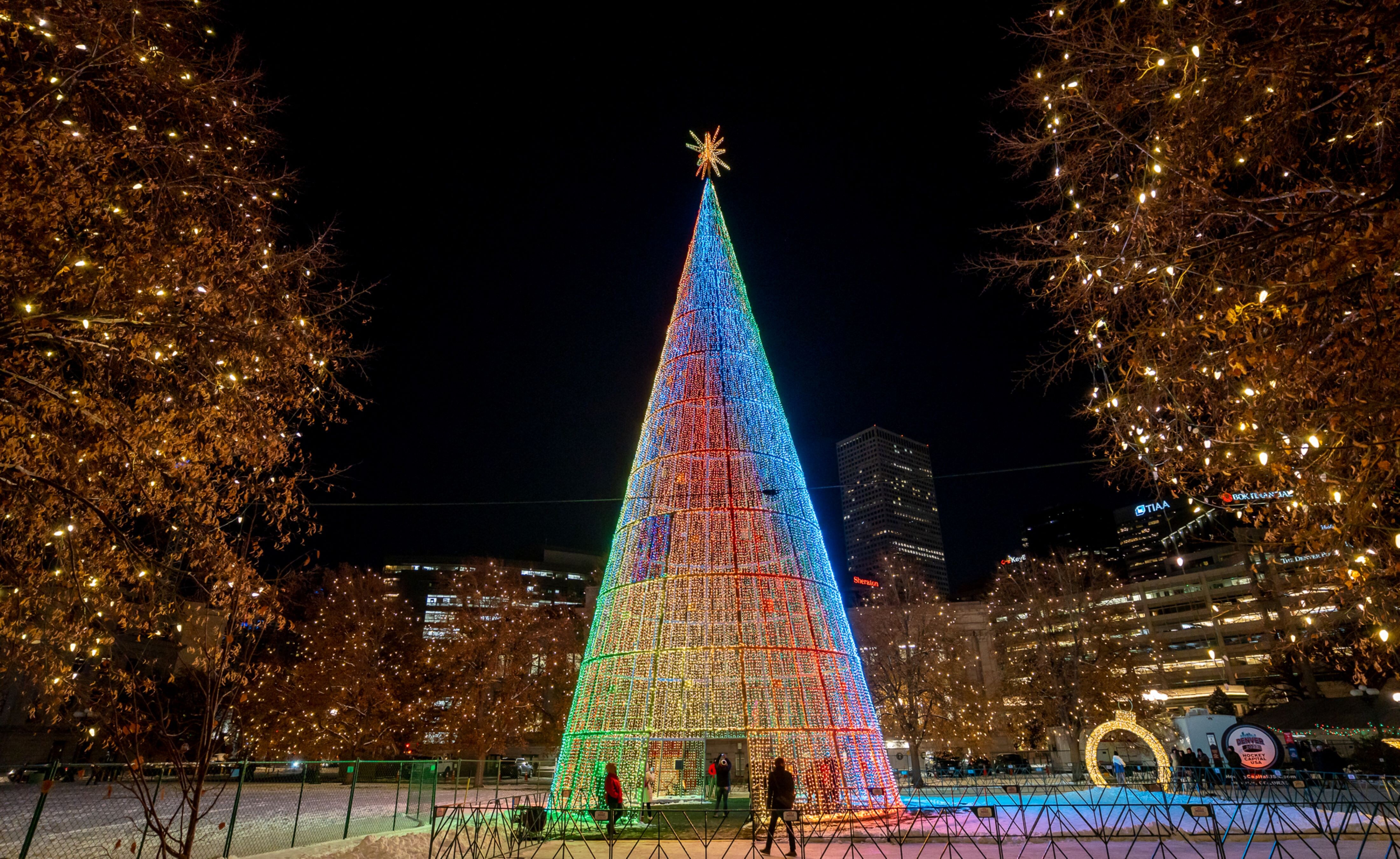 Mile High Tree