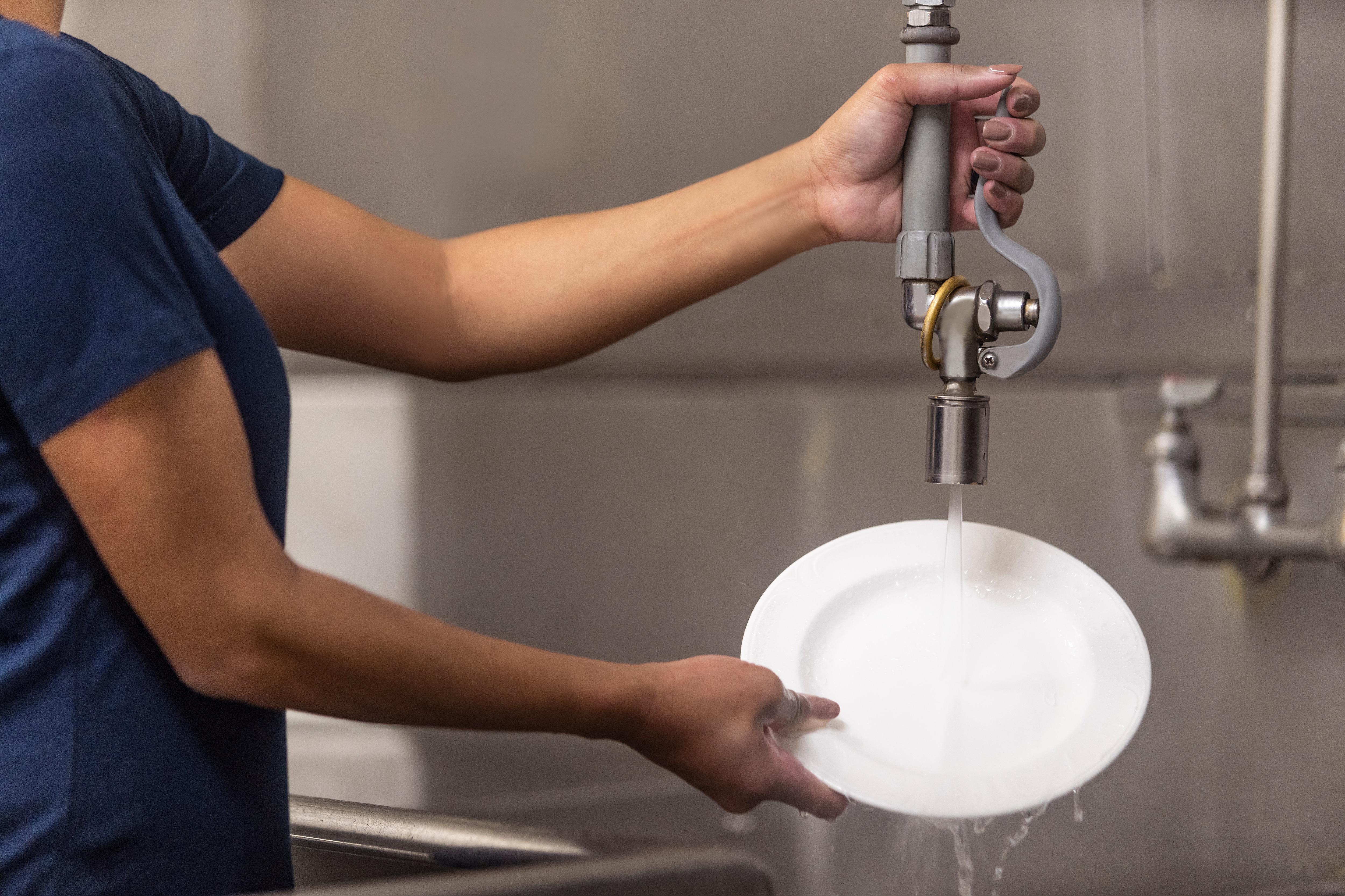 Person washing a plate