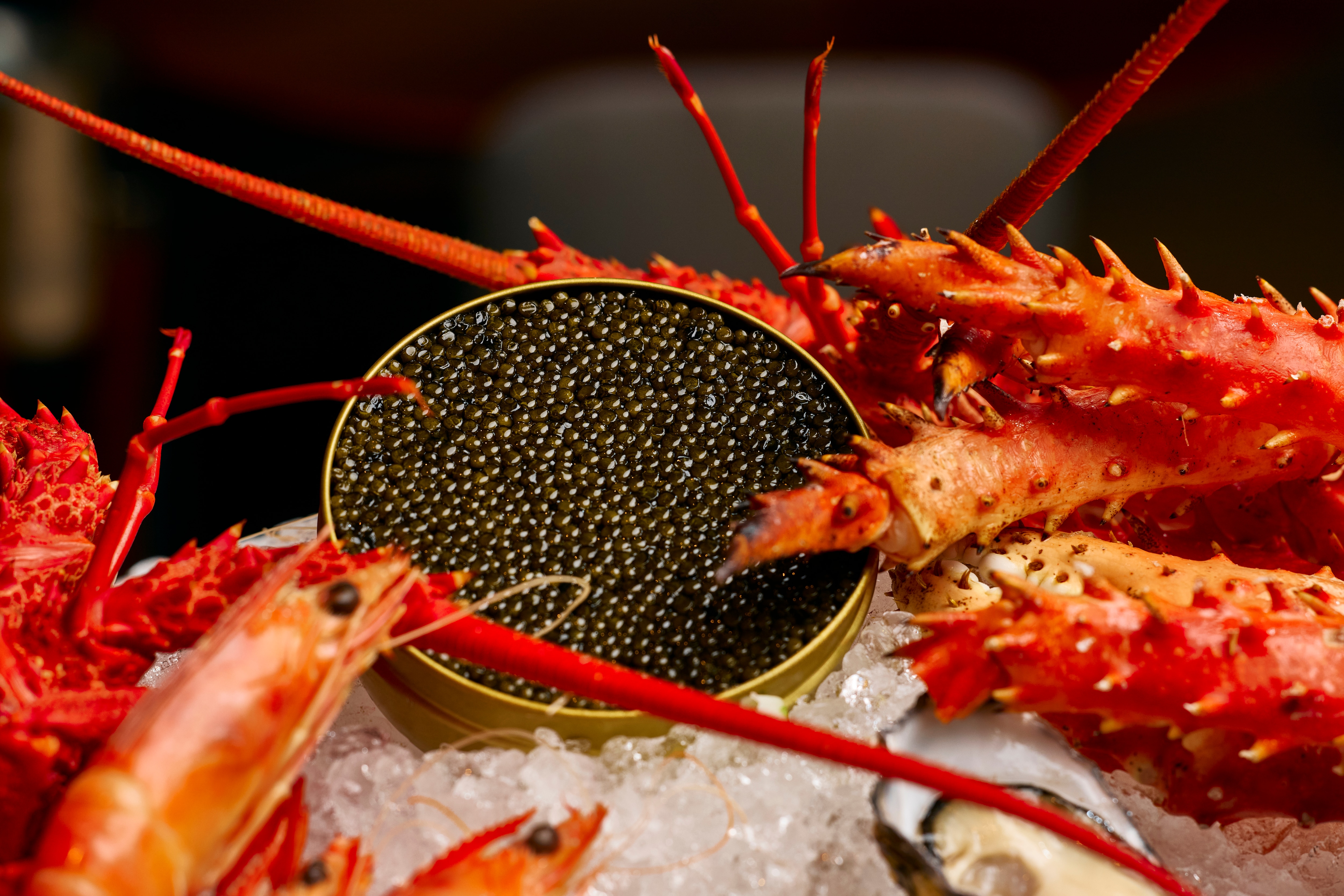 Seafood buffet and caviar