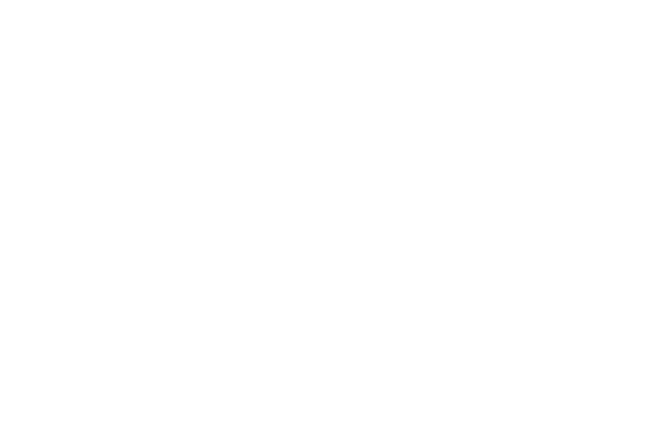 W Hotels Logo