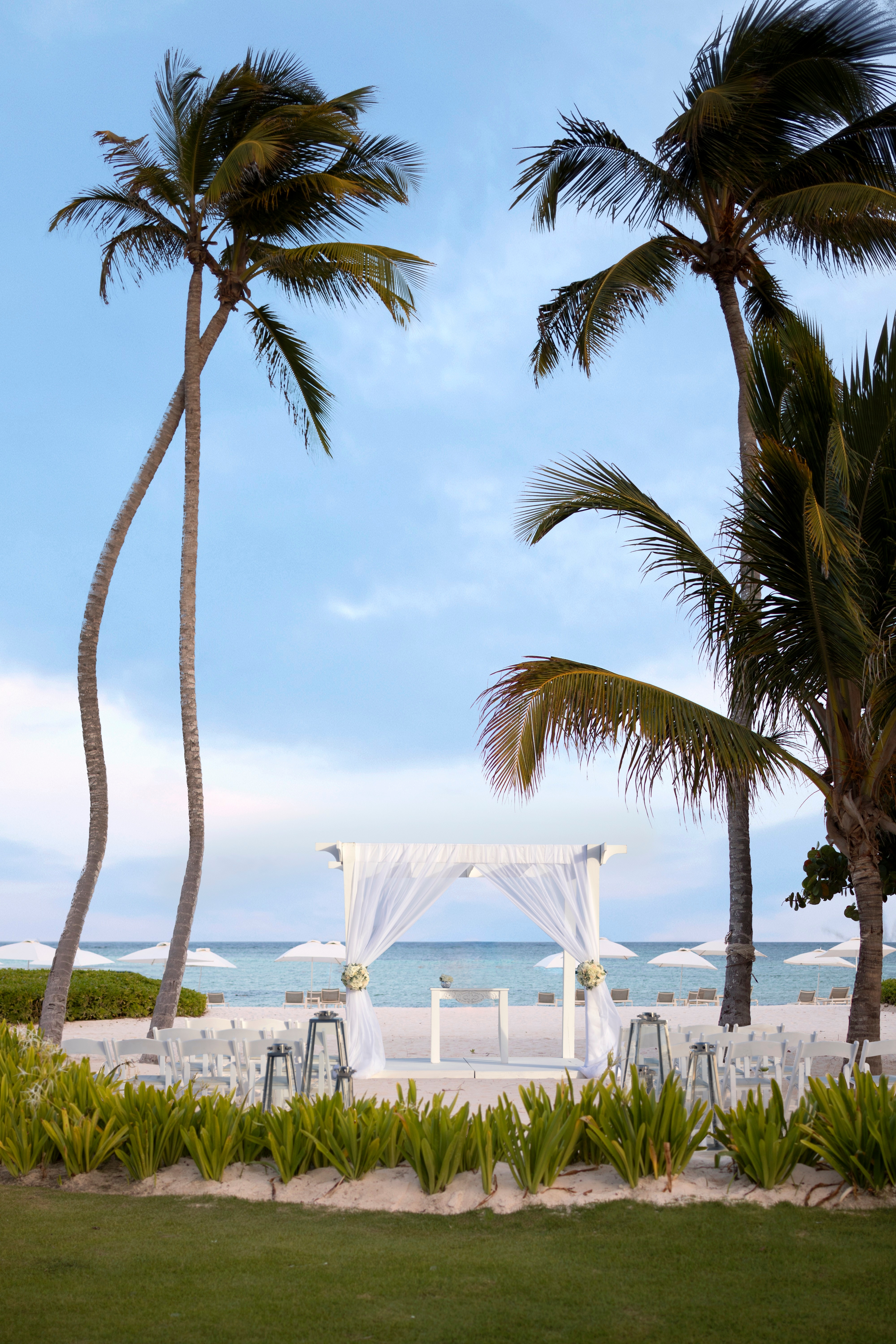 Beach wedding setup with palm trees