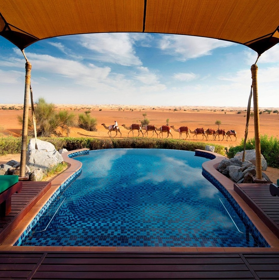 pool cabana view with camels insight