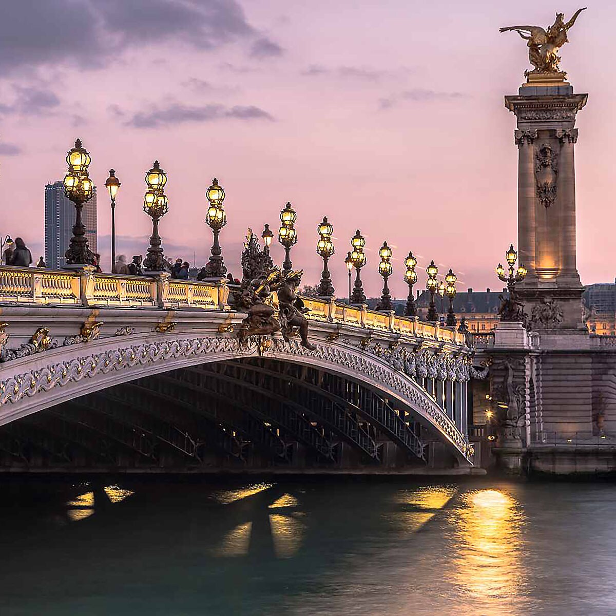 Seine river with bridge over it