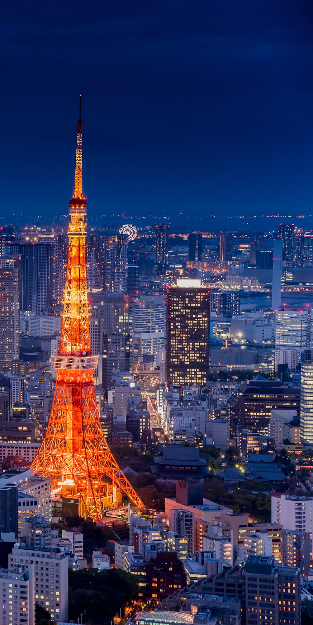 夜の東京タワーの絶景