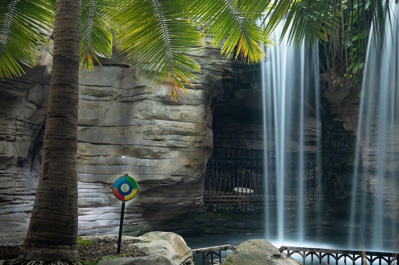 Gaylord Palms garden waterfall
