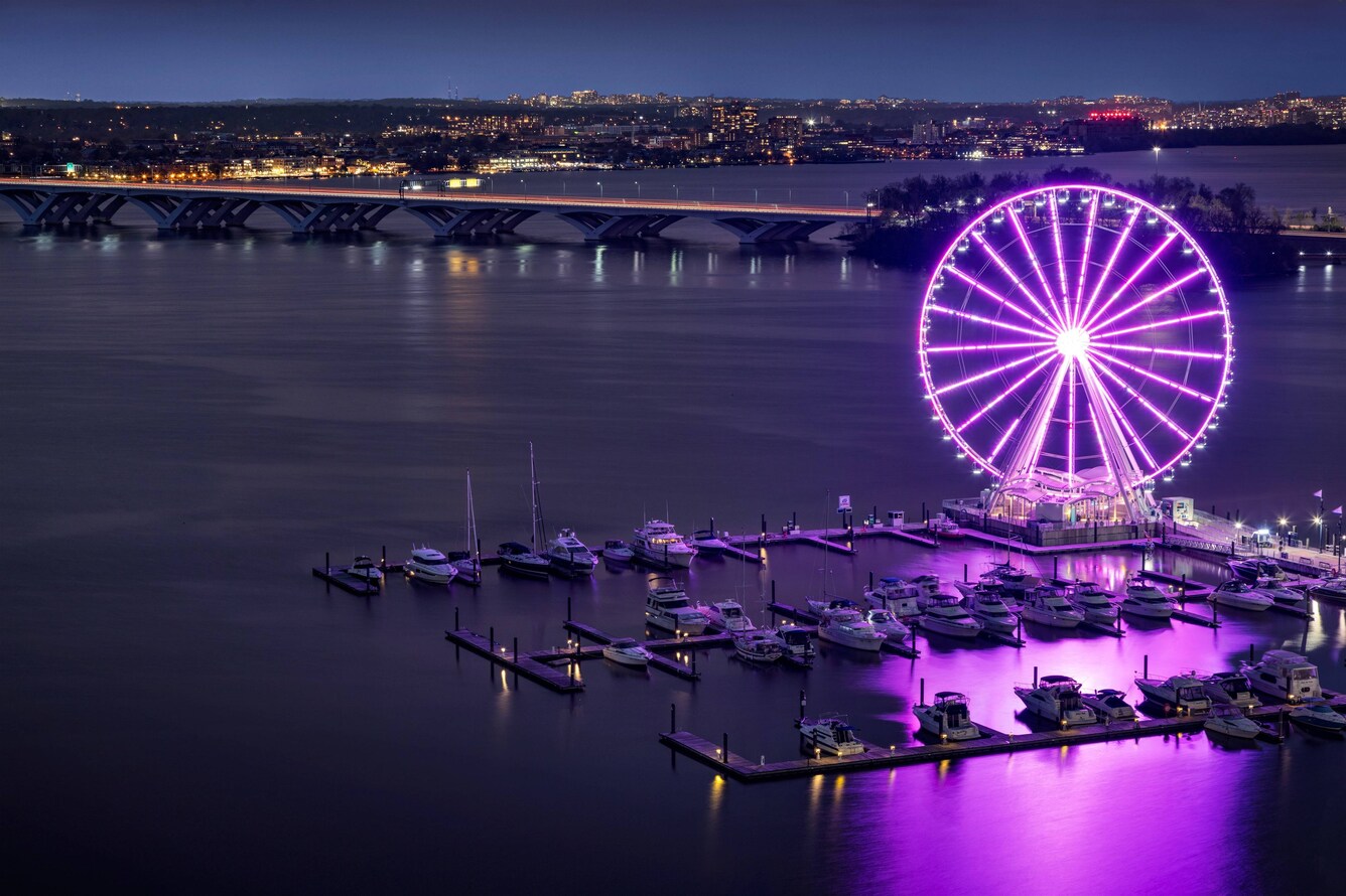 Harborside ferris wheel lit up in purple lights