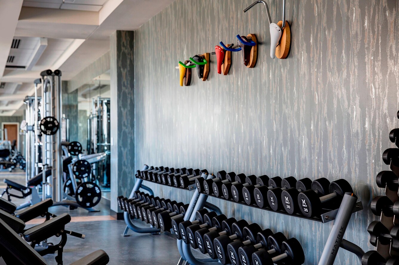 Weight rack filled with dumbbell free weights.