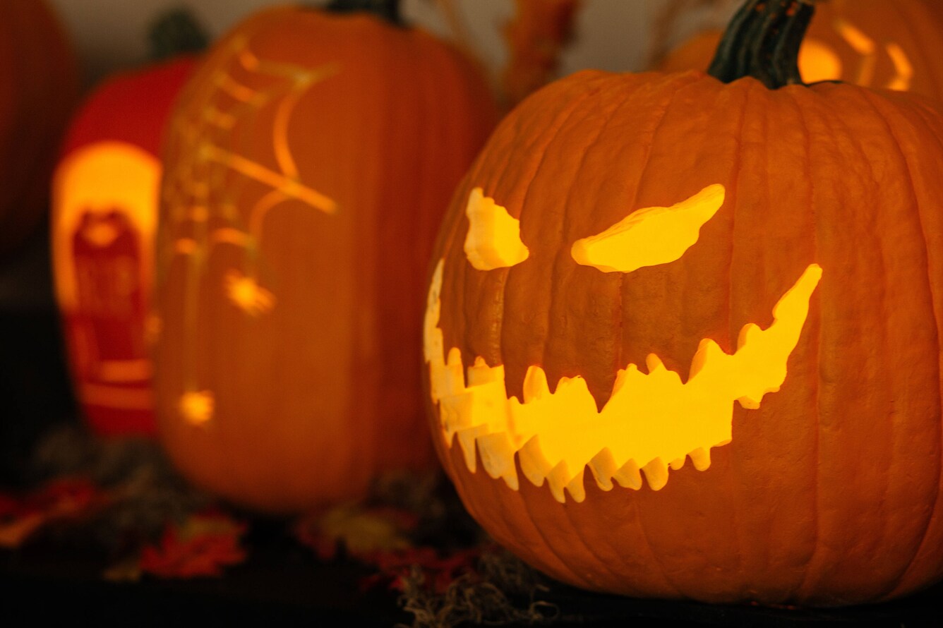 three carved pumpkins