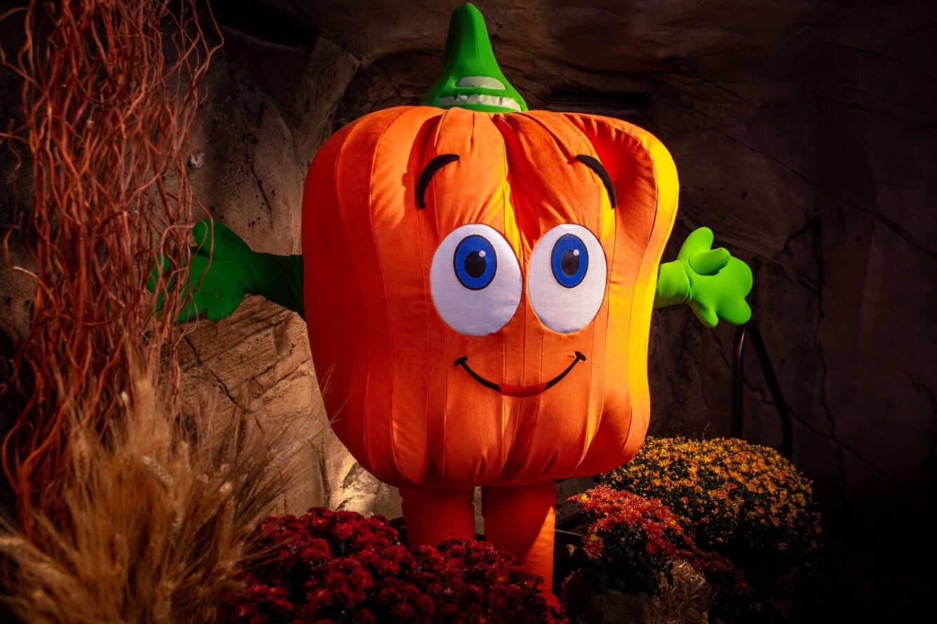 Spookley the square pumpkin