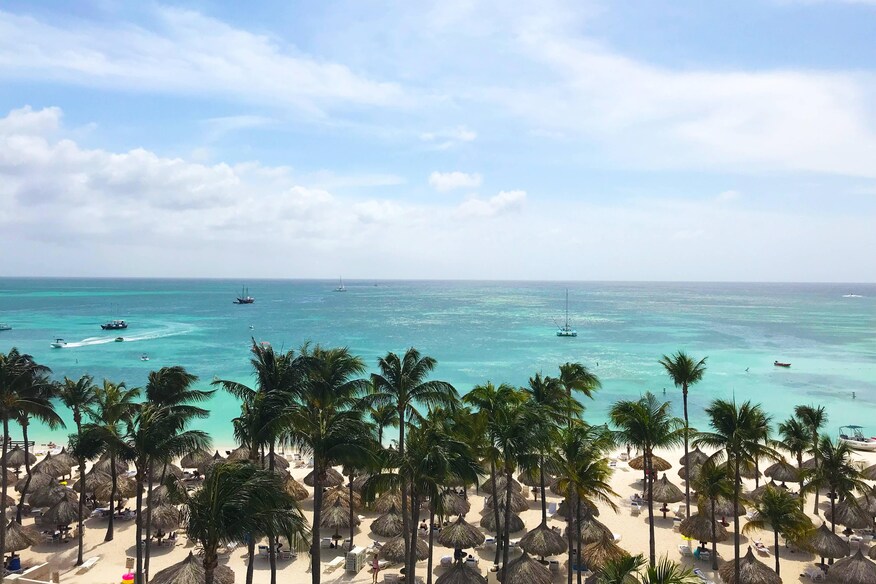 Resort beach full of palm trees and thatched roof umbrellas with ocean and boats in the background.
