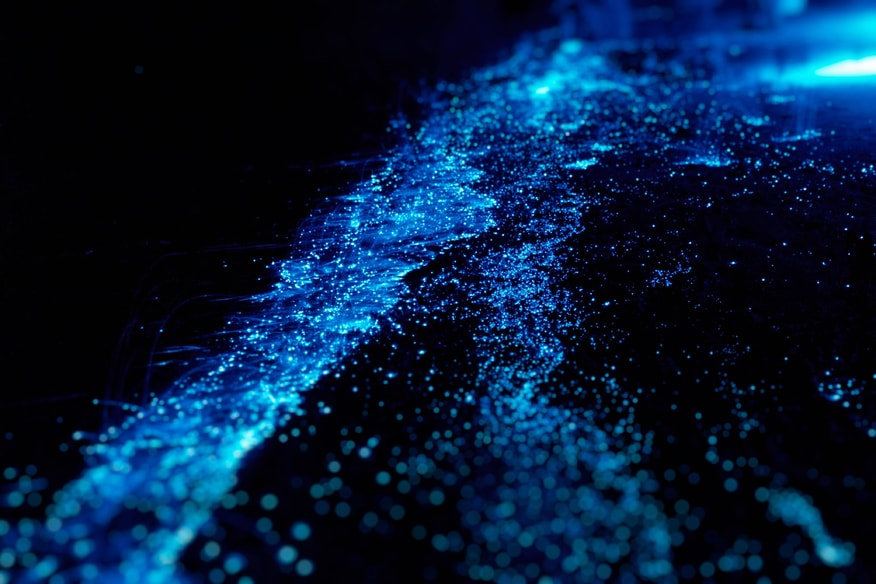 Glowing water at Bio Bay