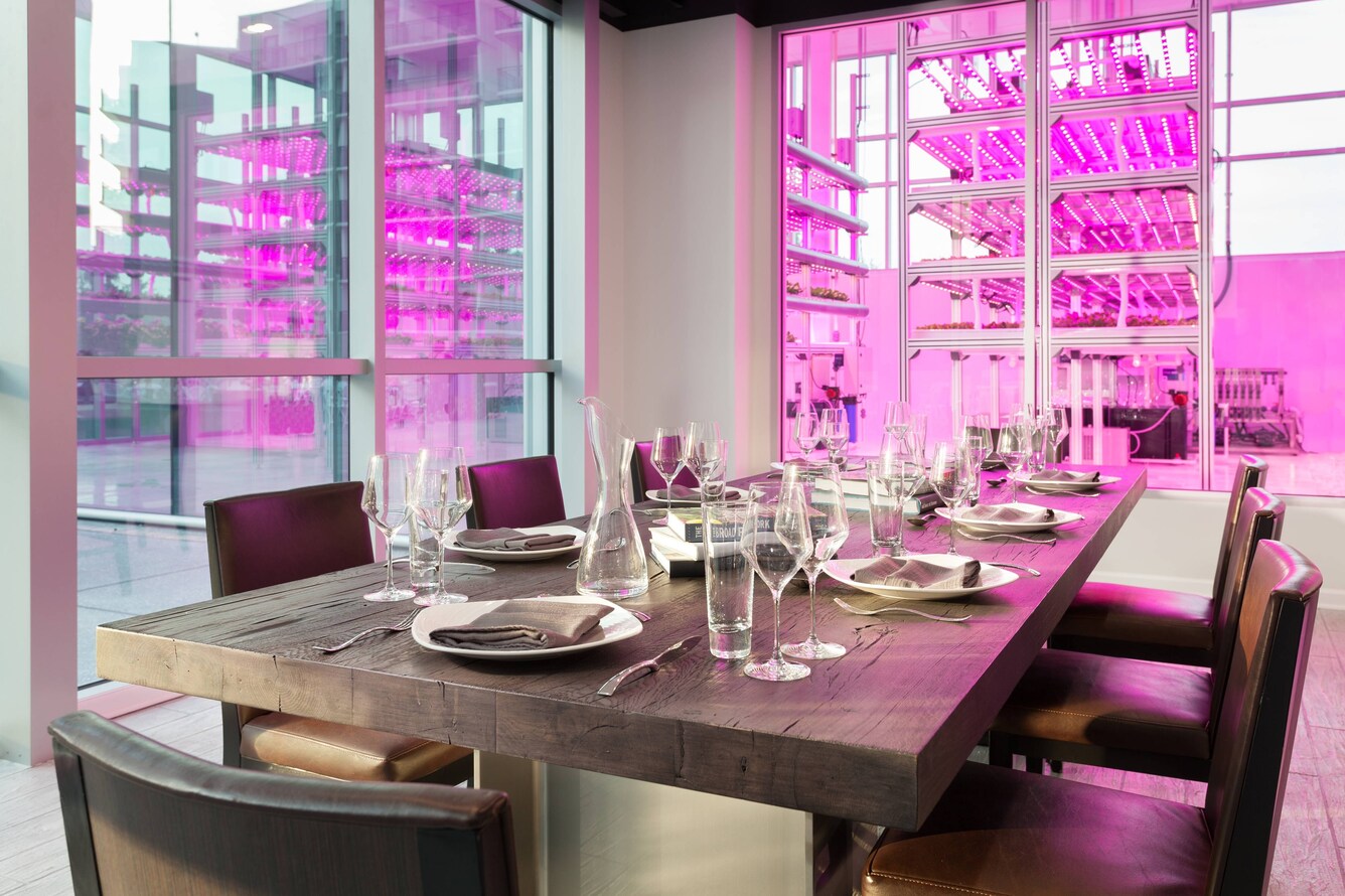 Private table with hycube greenhouse in background