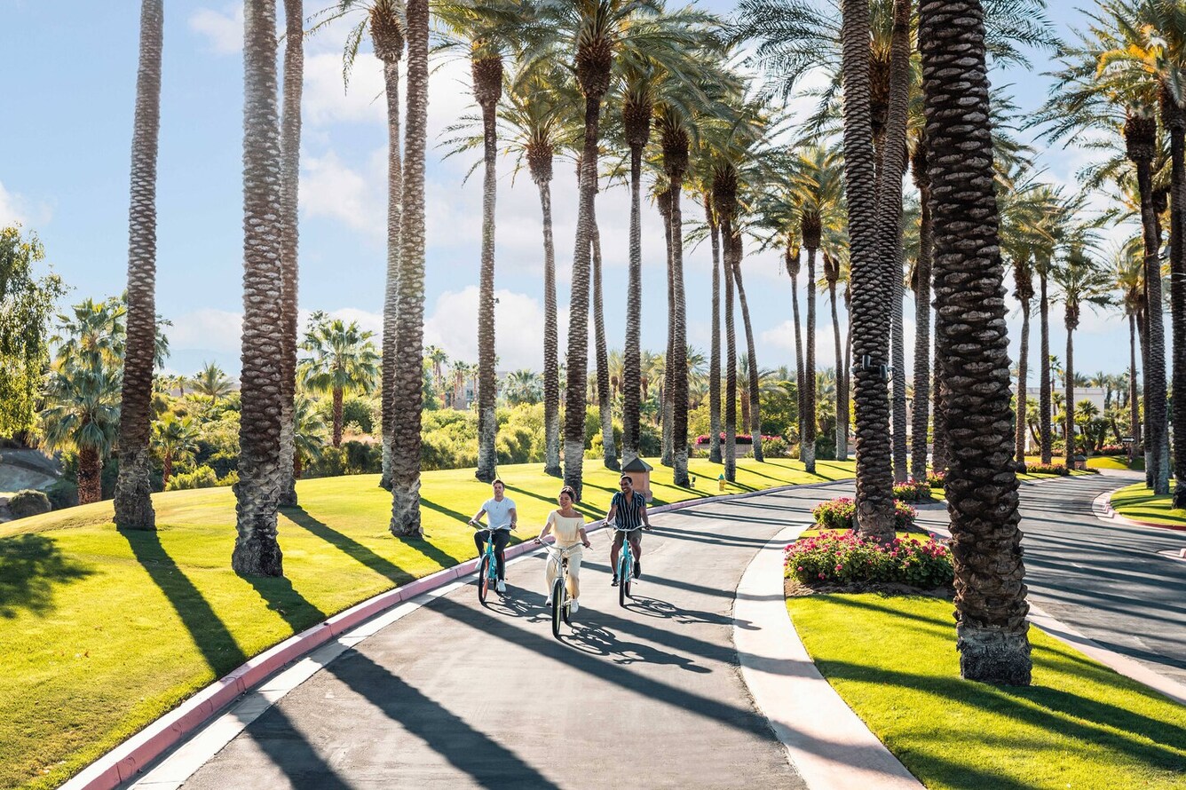 Three adults riding cruiser bicycles down a paved path lined by palm trees.