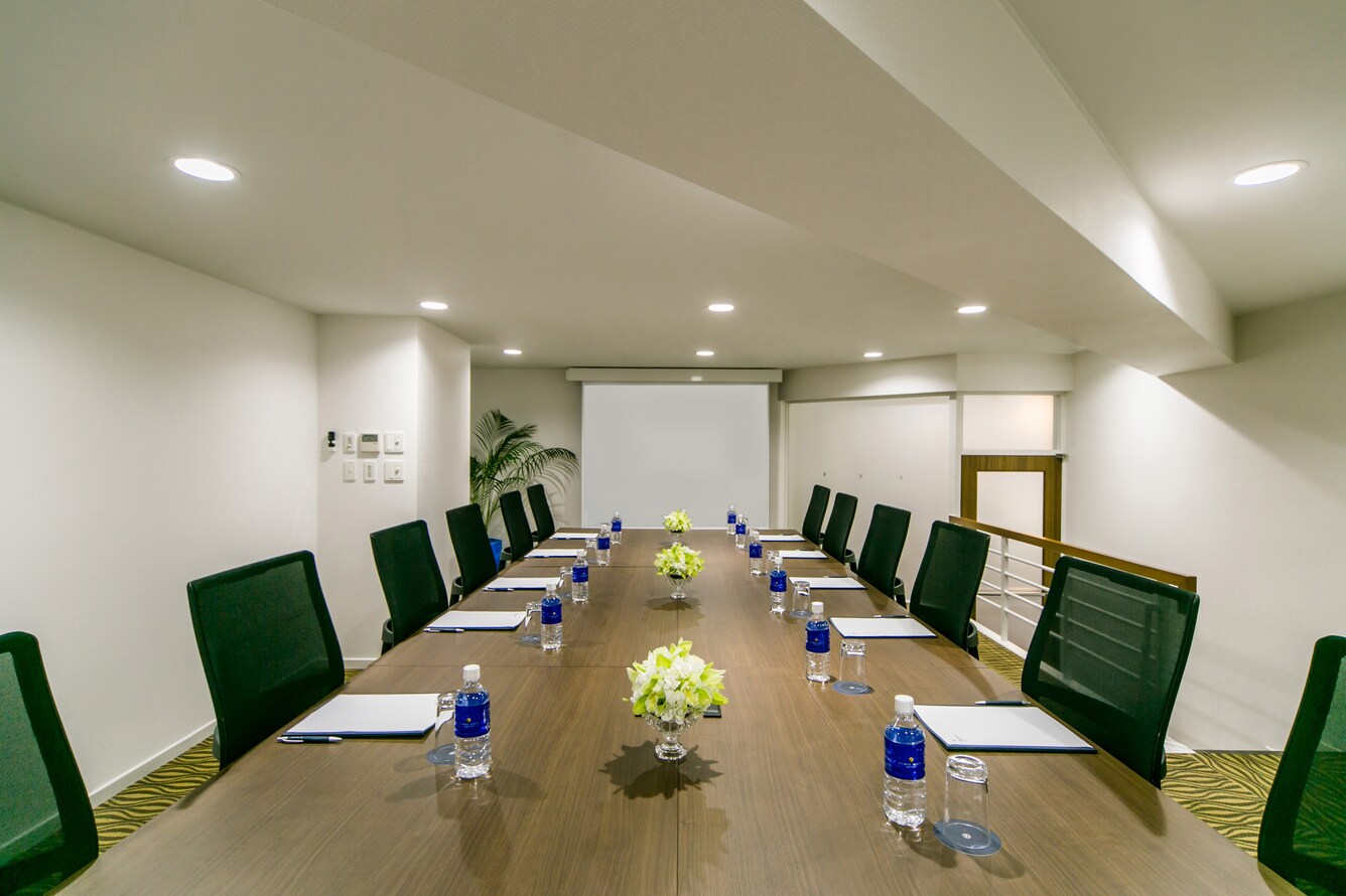 Sandanka meeting room conference setup
