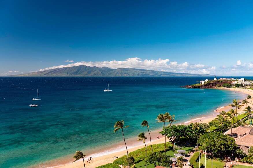 Vast Hawaiian shoreline lined with palm trees with hotel, sailboats, and island in background